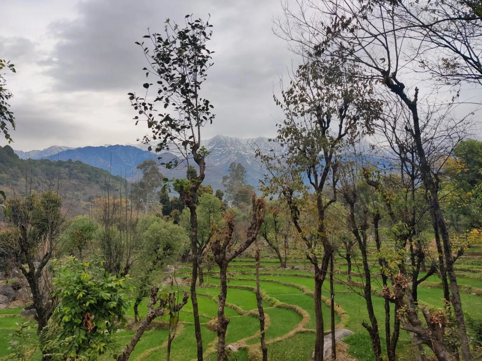 Mountain view in Dev Bhoomi Farms & Cottages