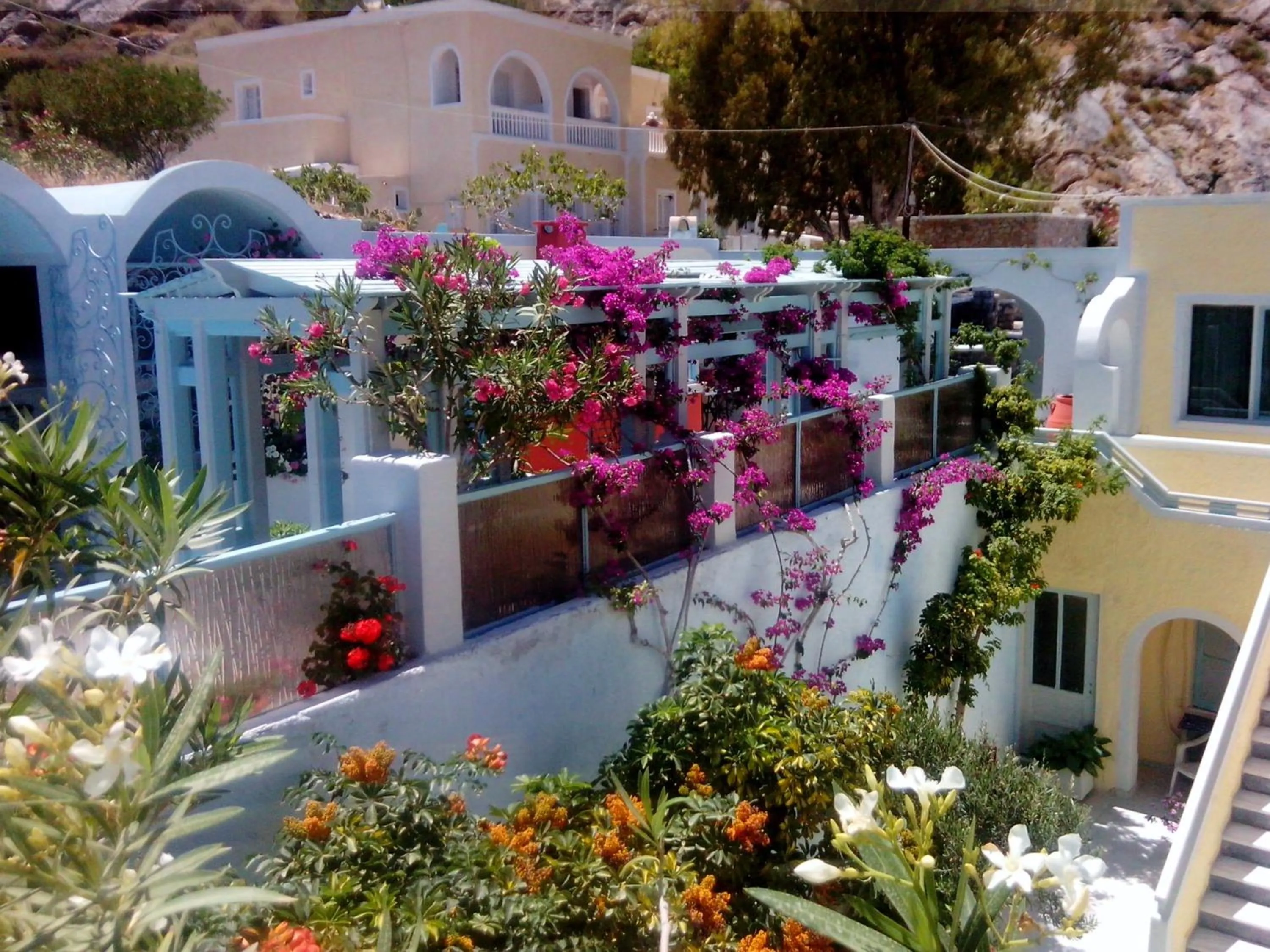 Garden in Villa Anneta