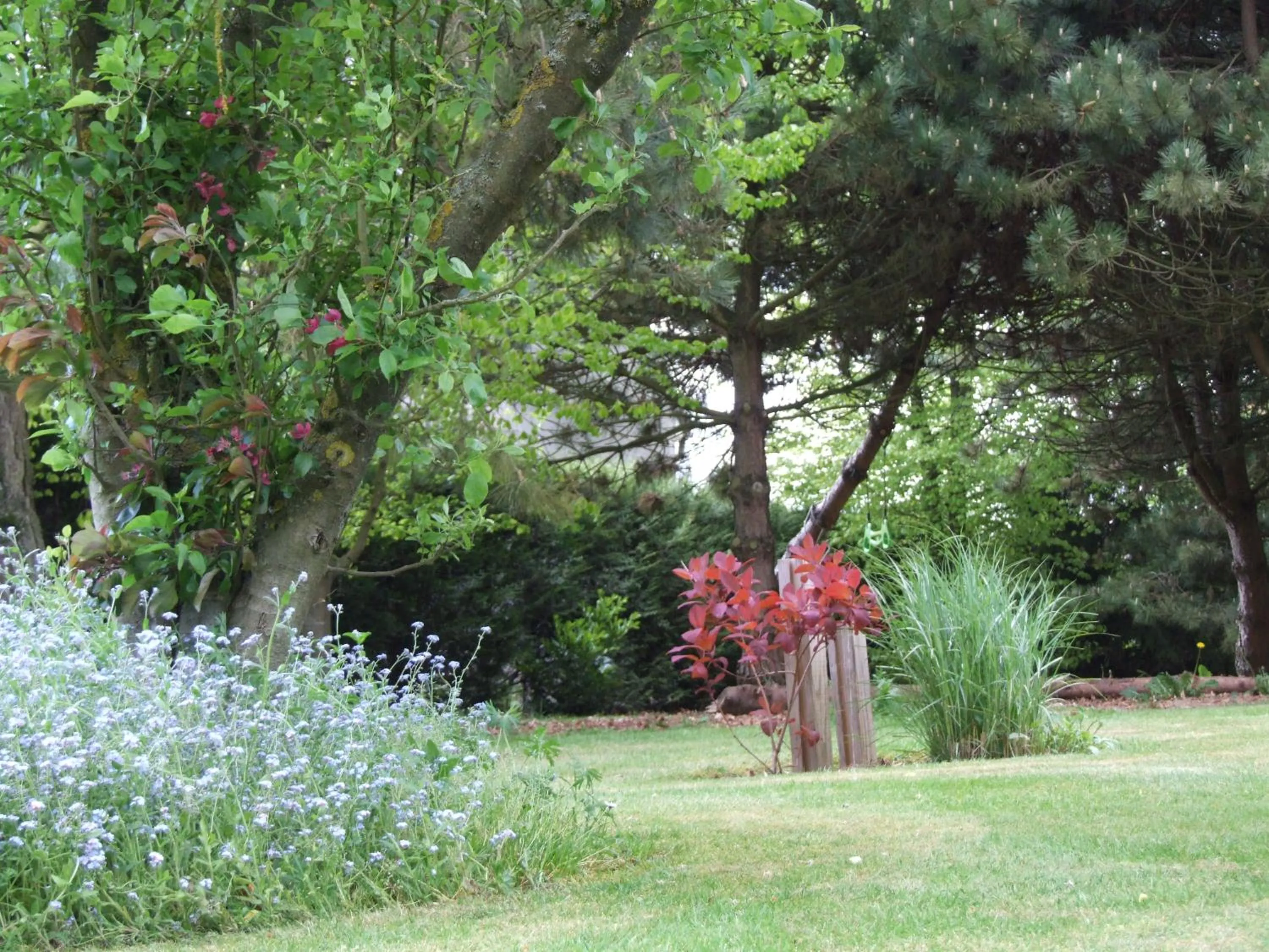 Garden in Le Clos du Clocher