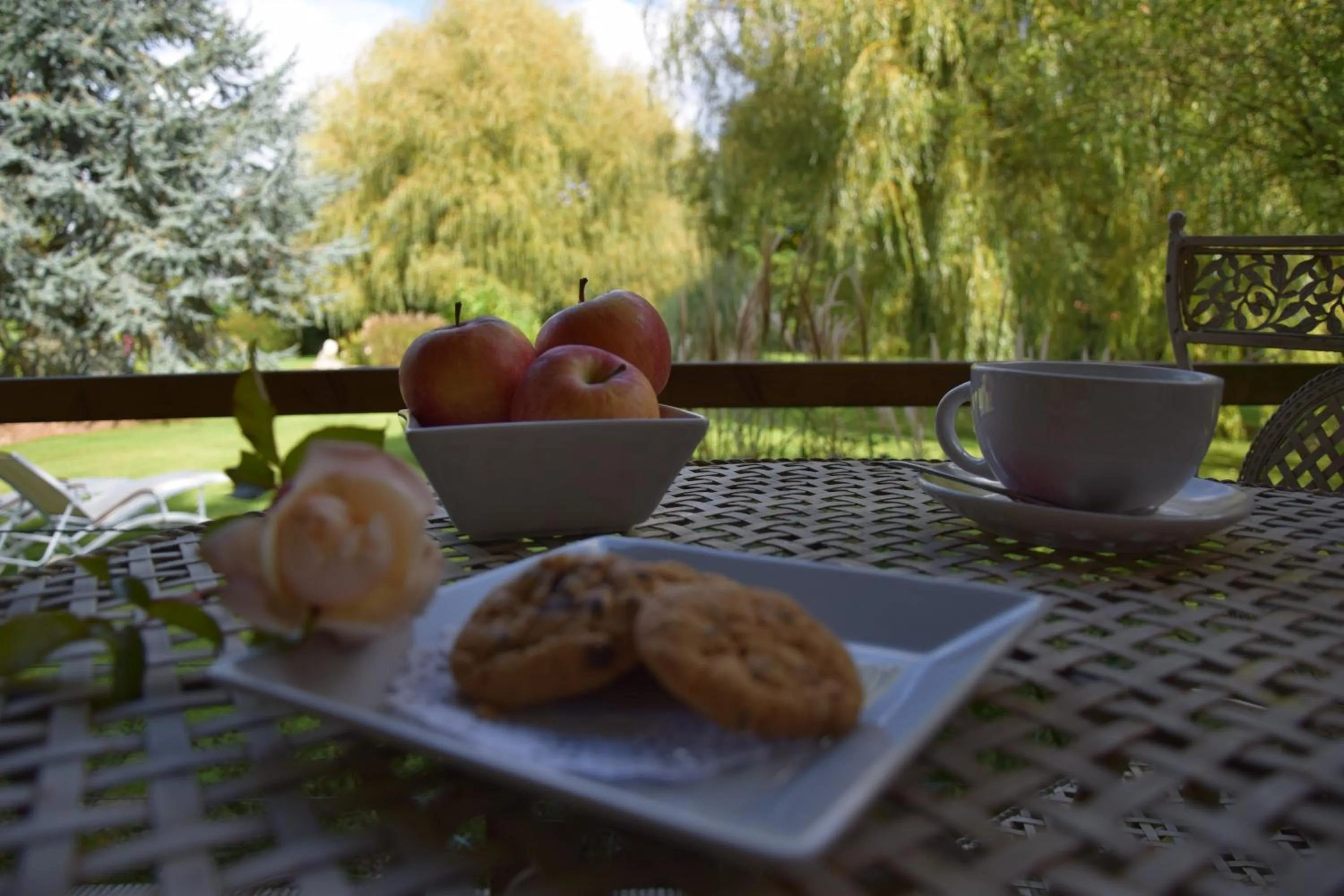 Food and drinks in Le Clos du Clocher