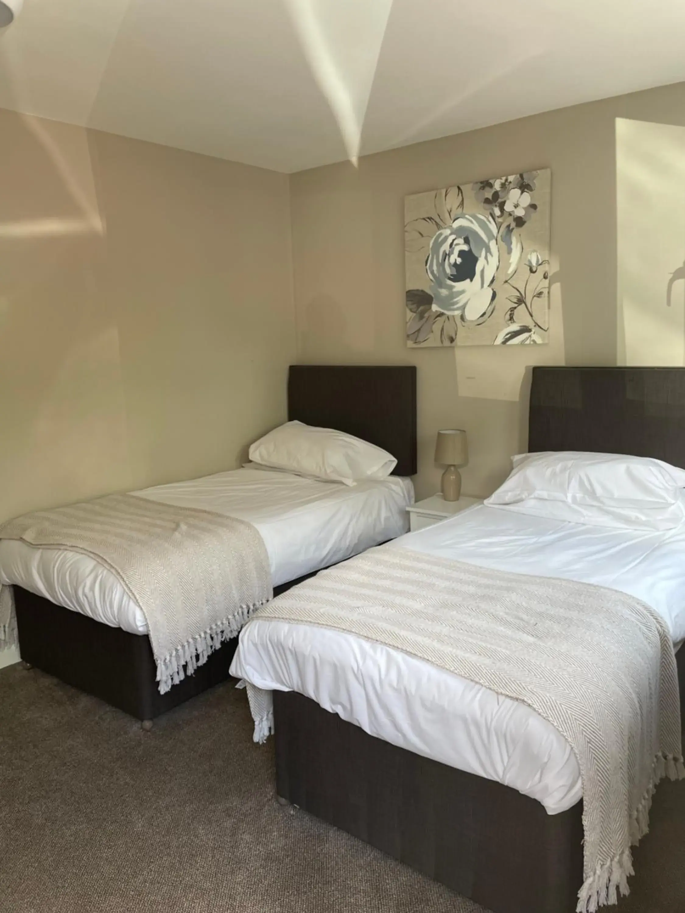 Tall Pines Lodges Tall Pines Lodges