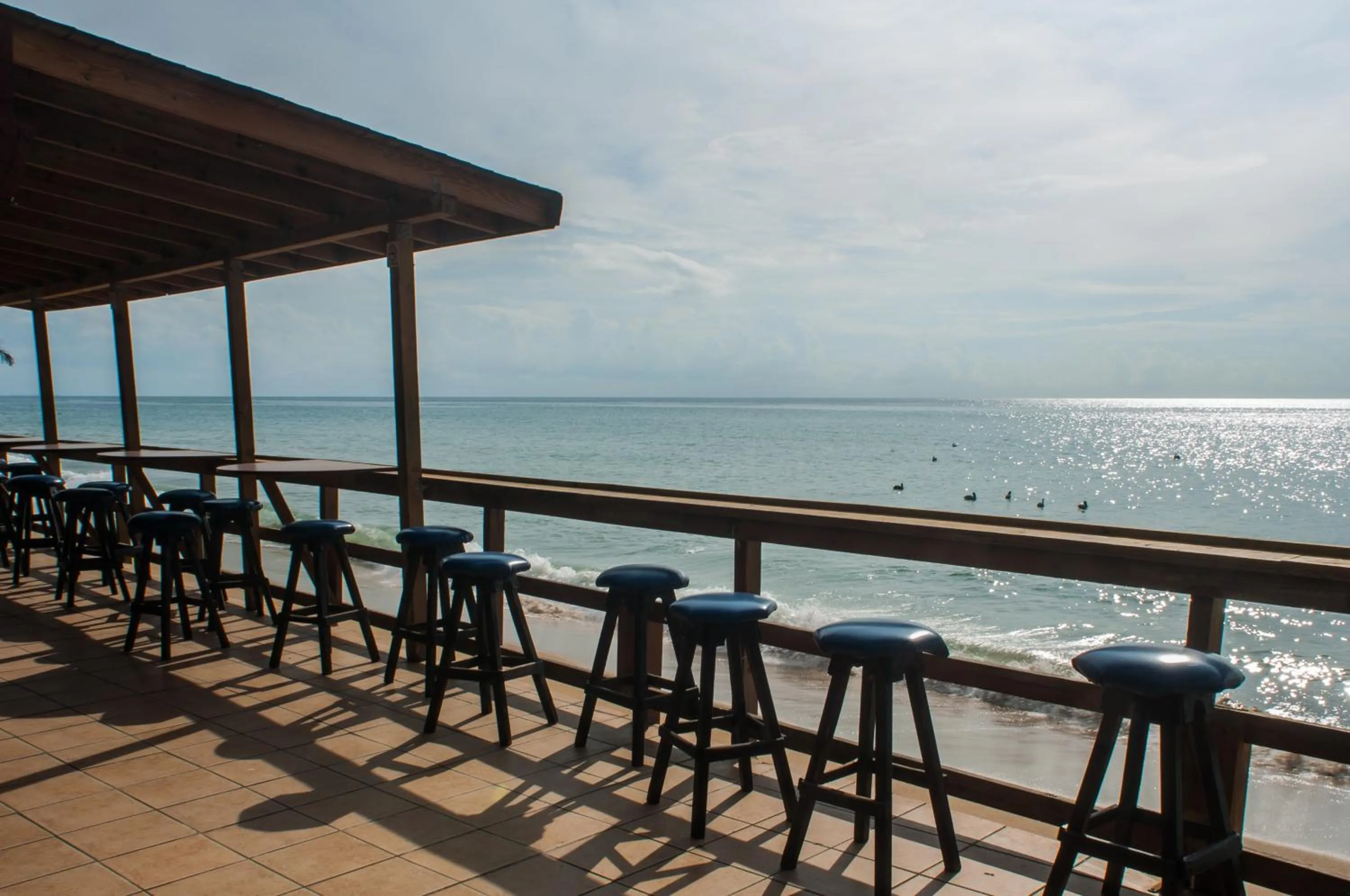 Lounge or bar in Villa Cofresi