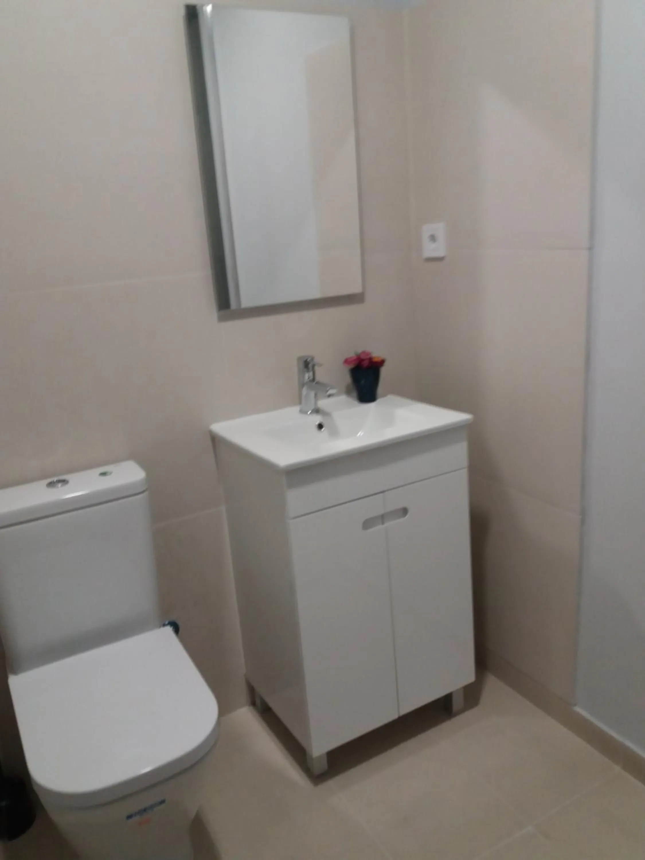 Toilet in Liberty Hostel Lisbon