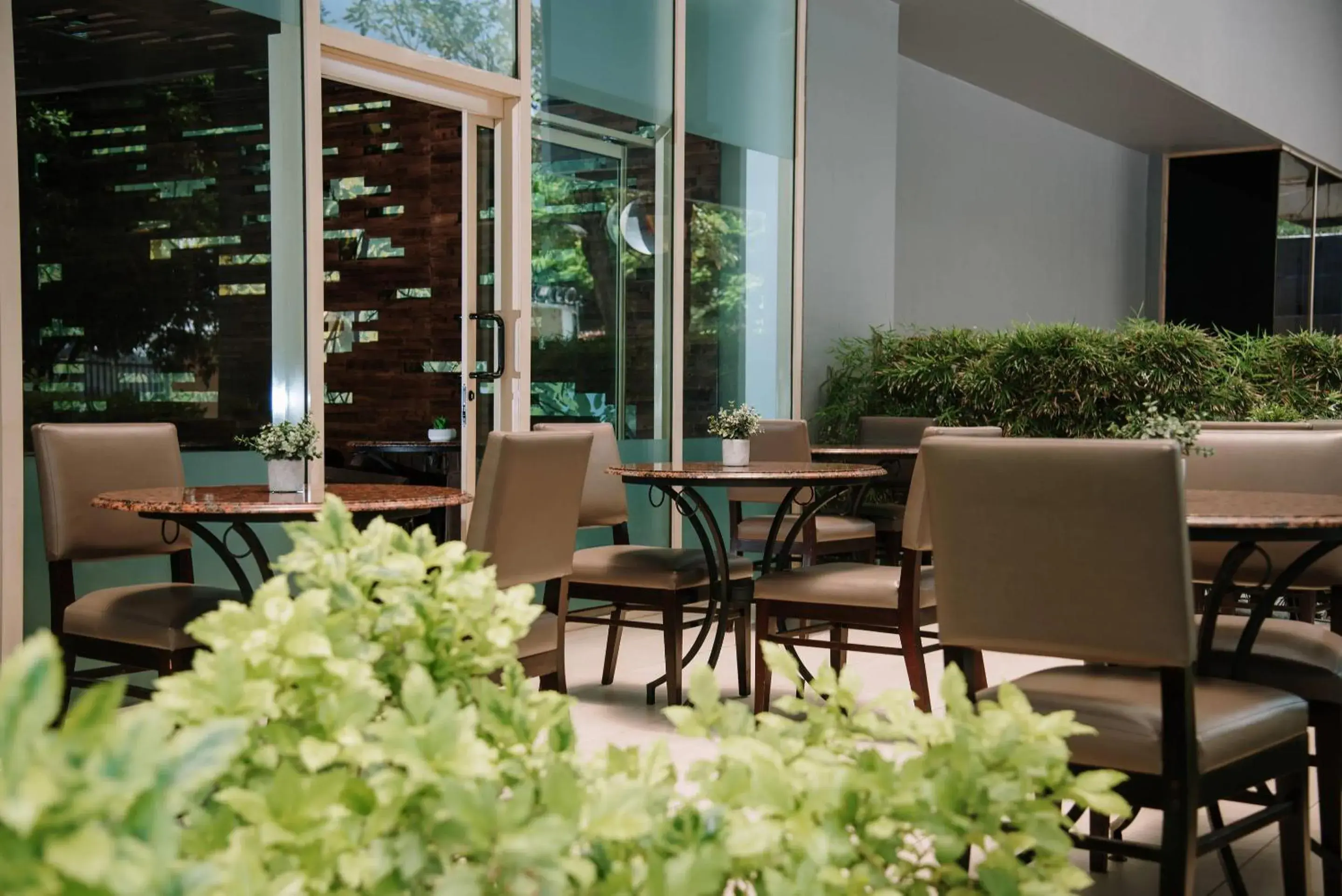 Lounge or bar in Clarion Suites Guatemala City Lounge or bar in Clarion Suites Guatemala City