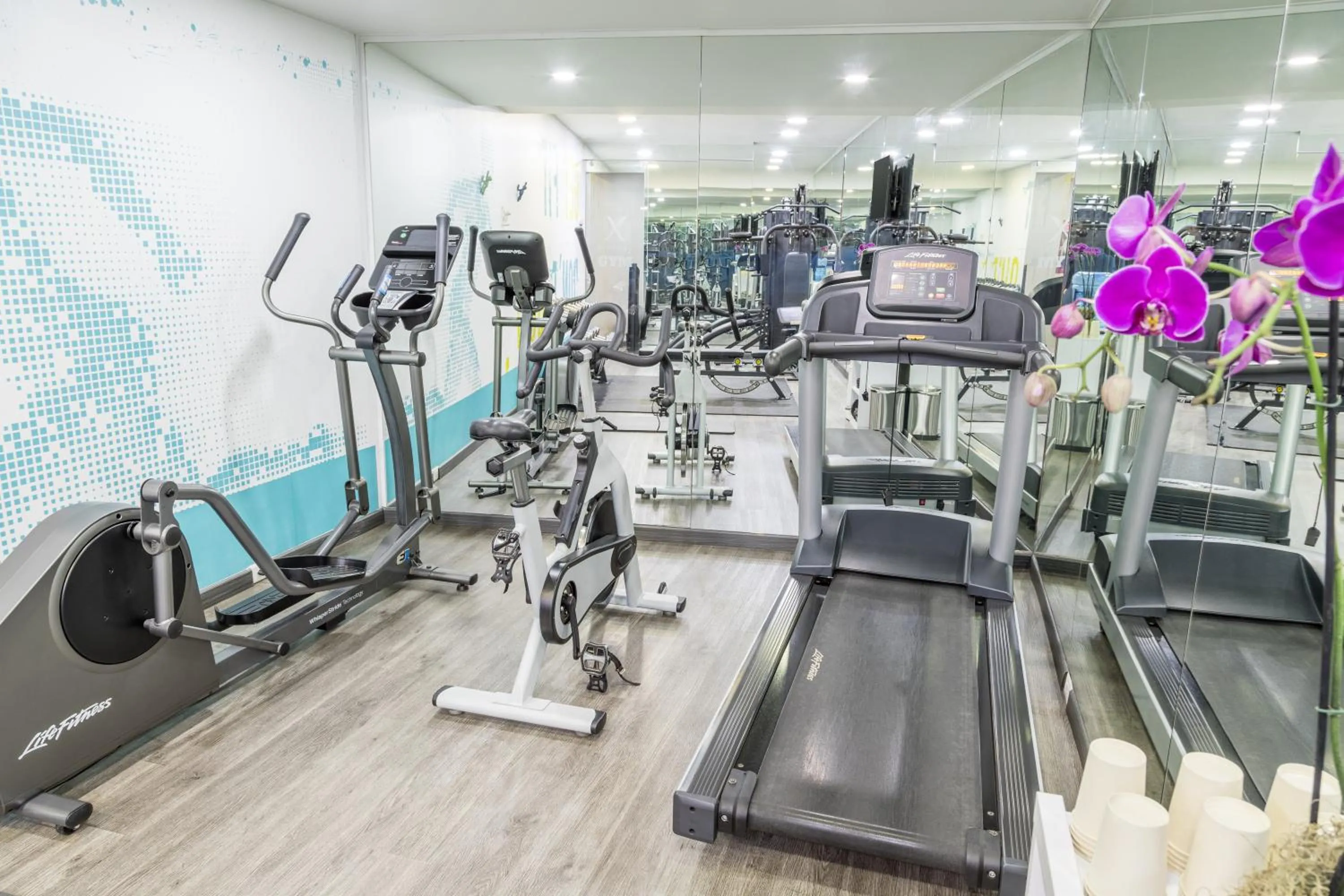Fitness centre/facilities in GHL Bioxury Hotel