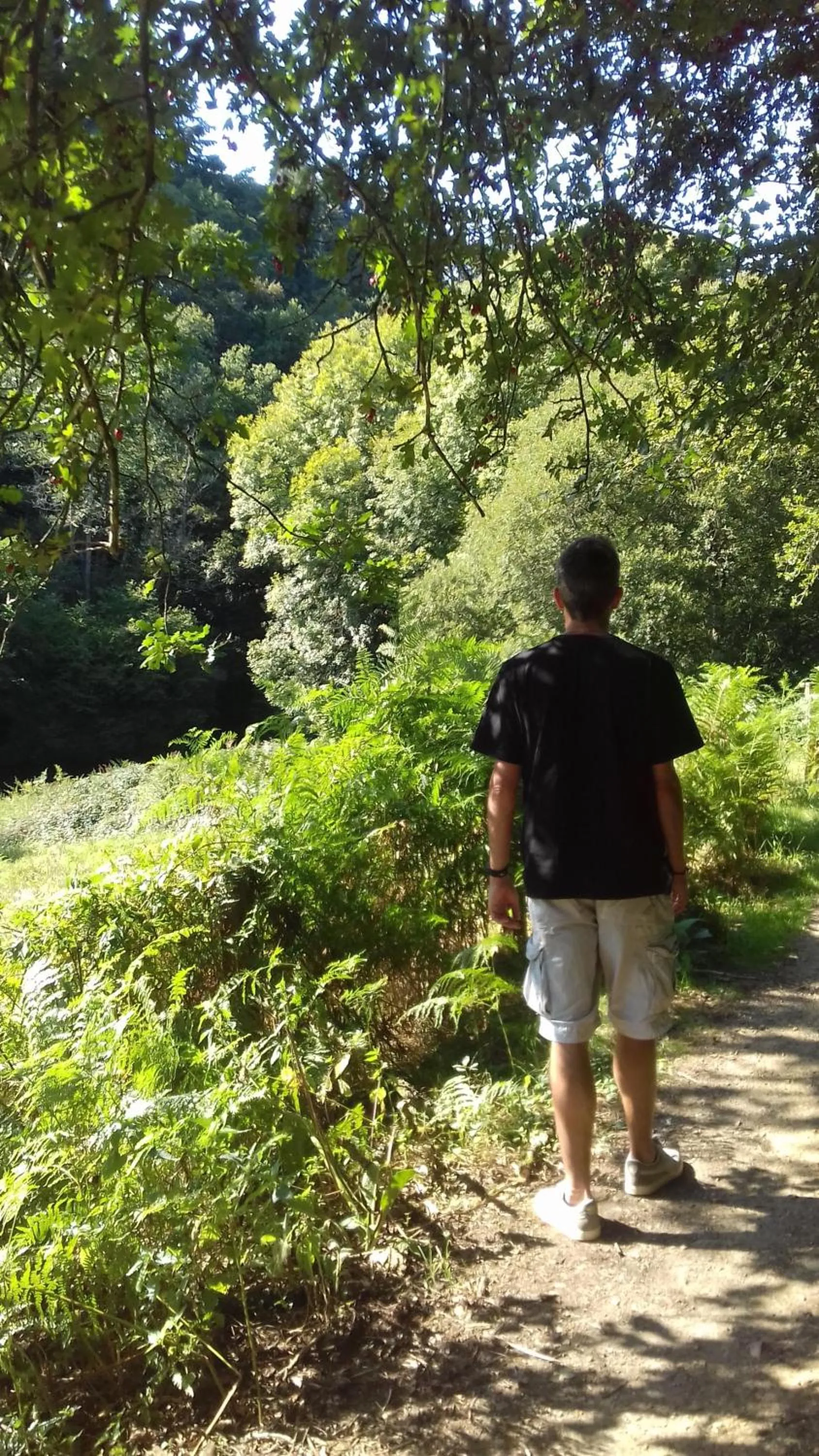 Activities in La Closerie de Sens