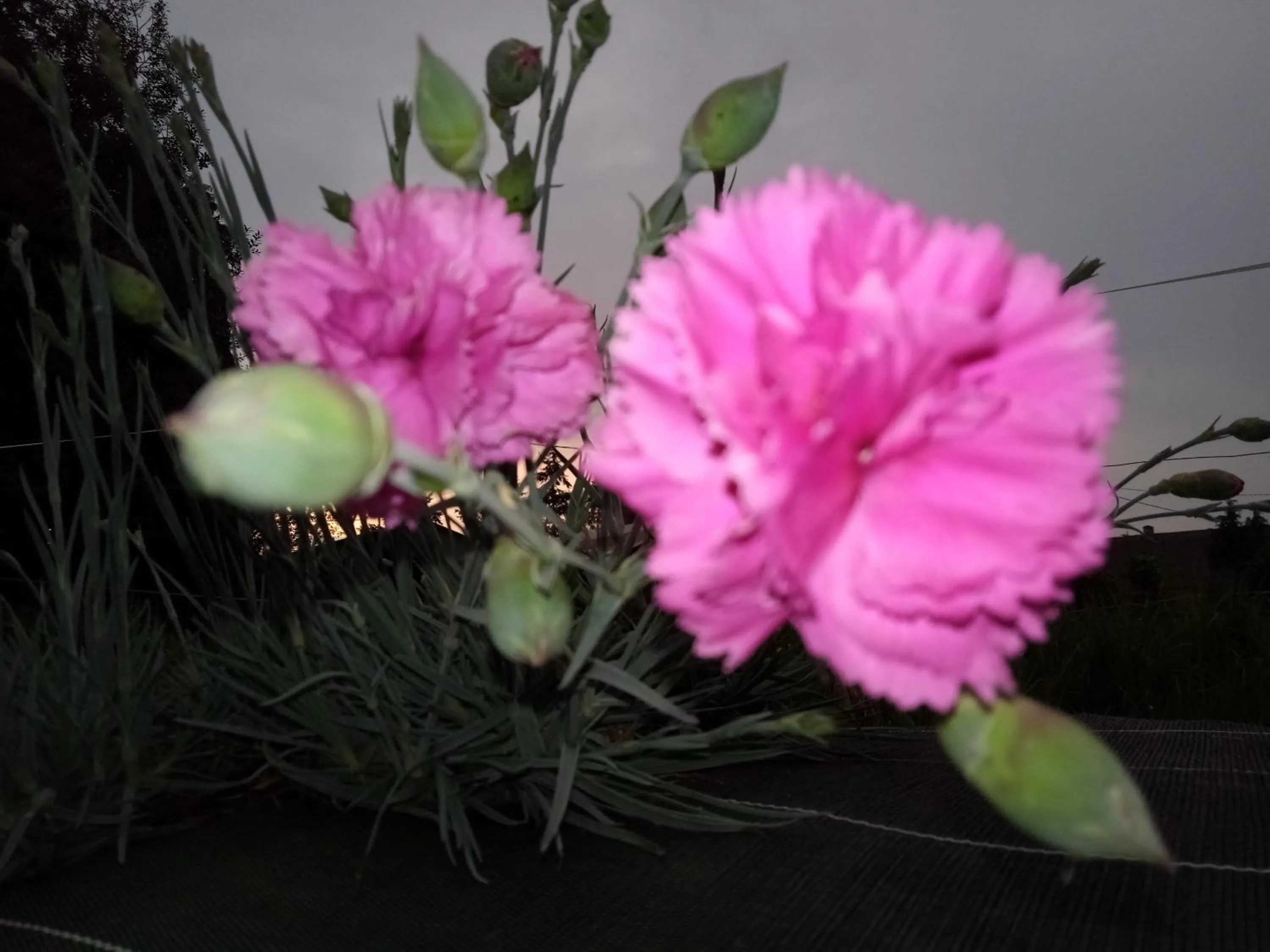 Property building in La Closerie de Sens