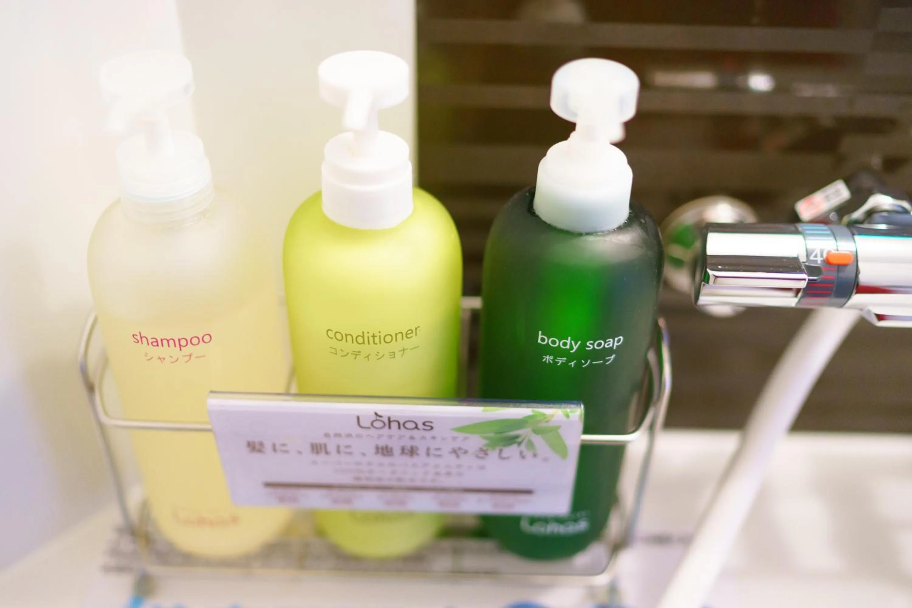 Super Hotel Premier Tokyo Station Yaesu-Chuoguchi