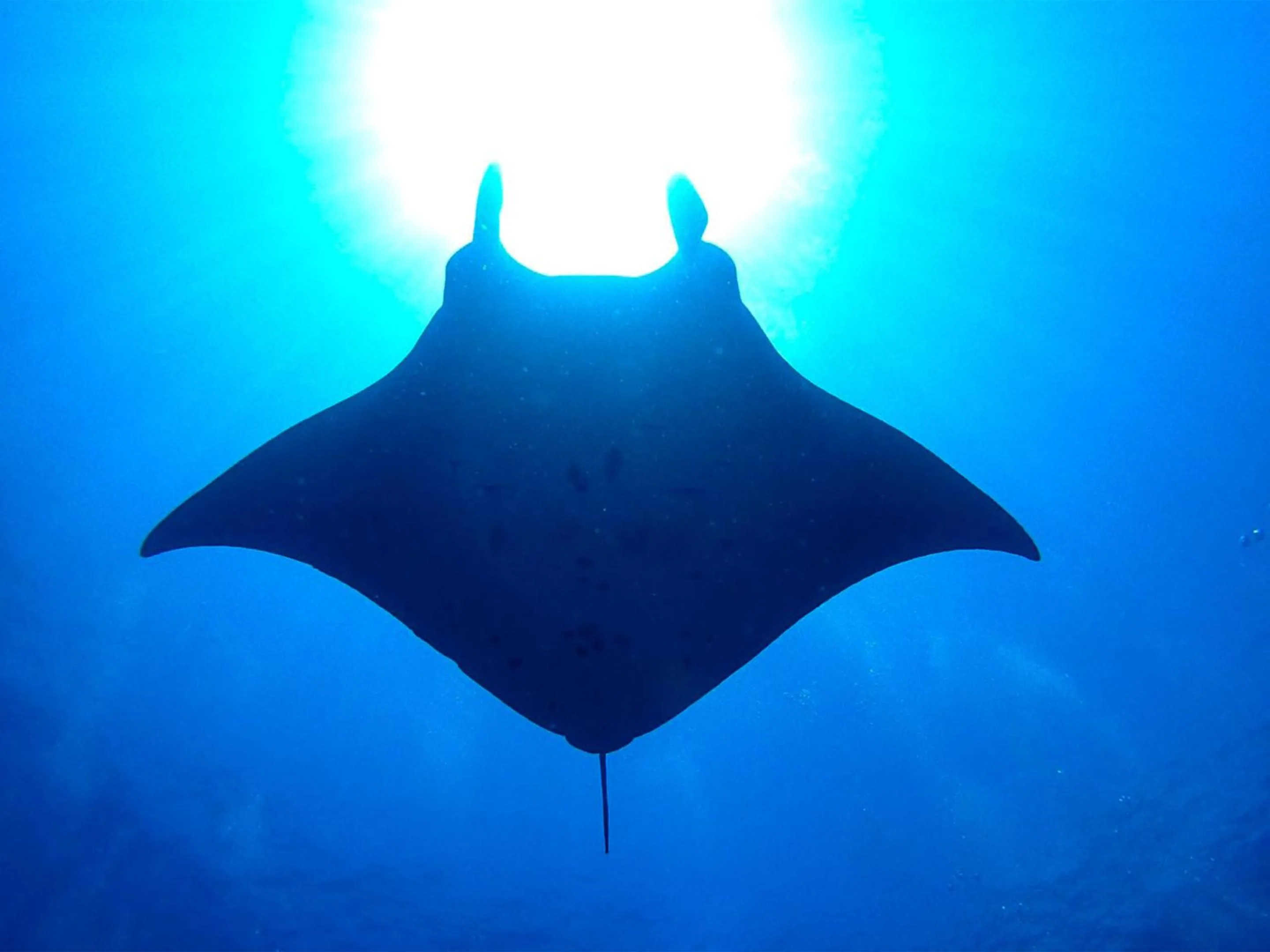 Nearby landmark in Emix Ishigaki