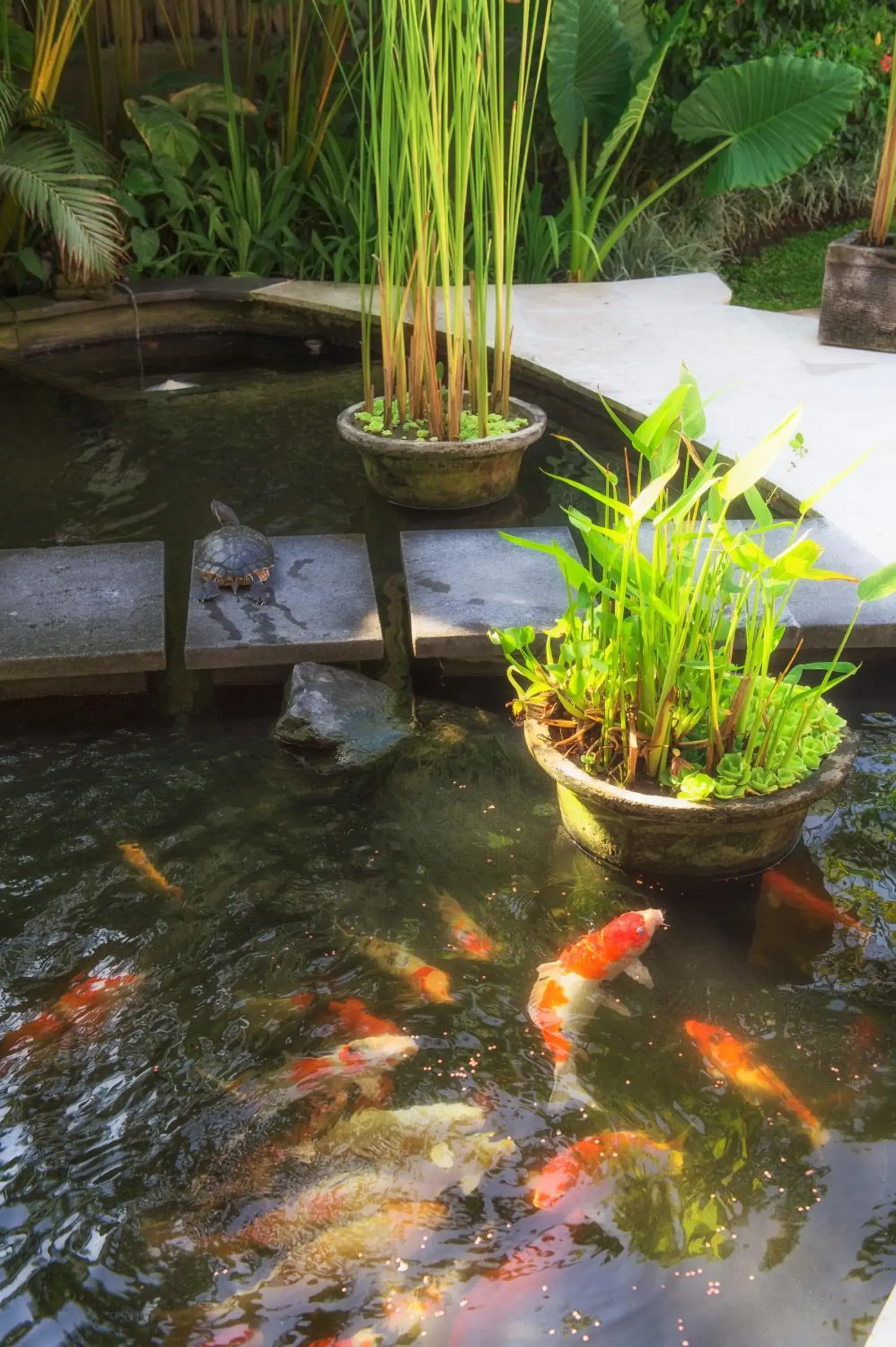 Villa with Private Pool in Elina Villas Seminyak Villa with Private Pool in Elina Villas Seminyak