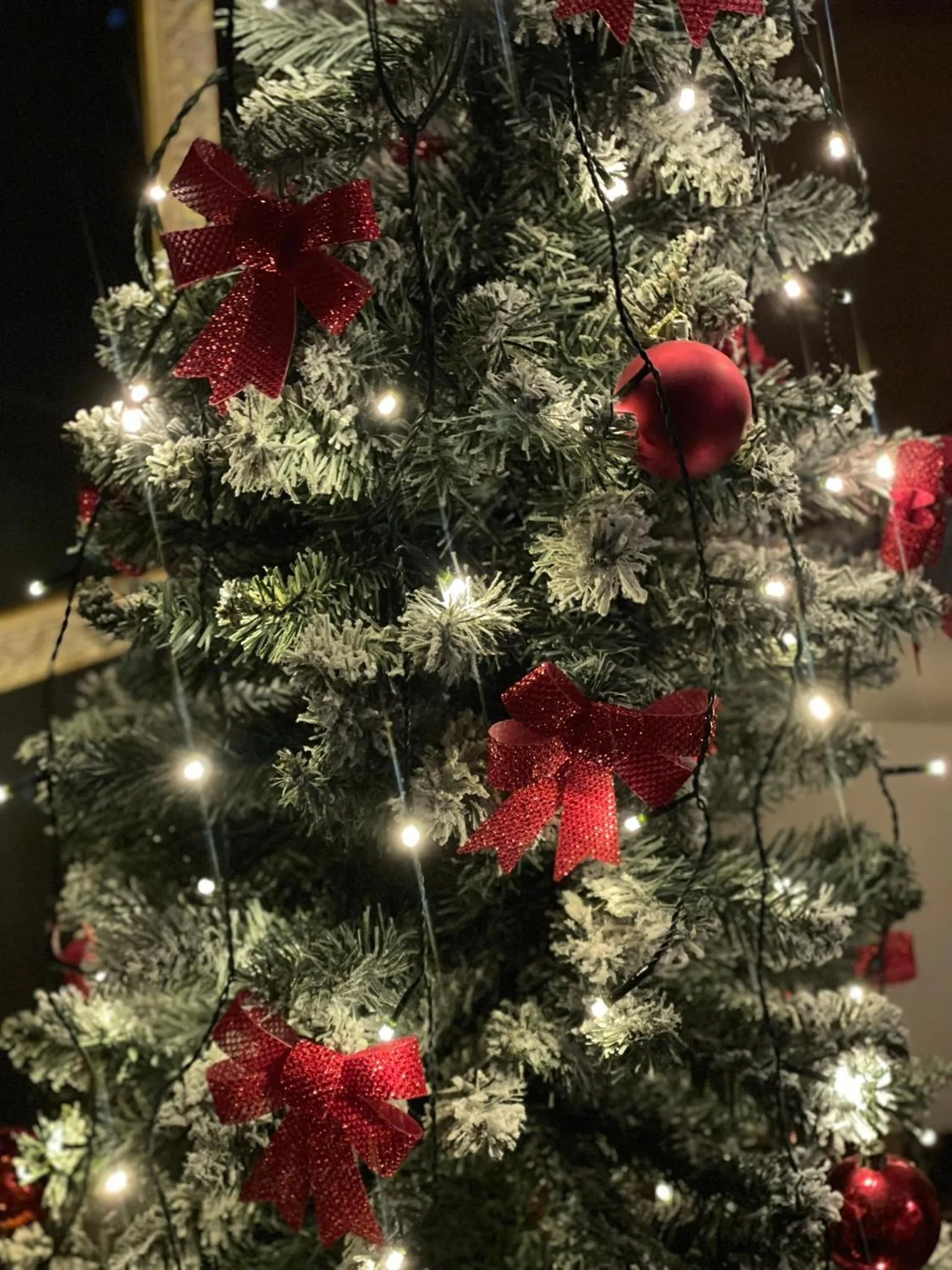 Mamma Mia Hotel Boutique - Only Adults