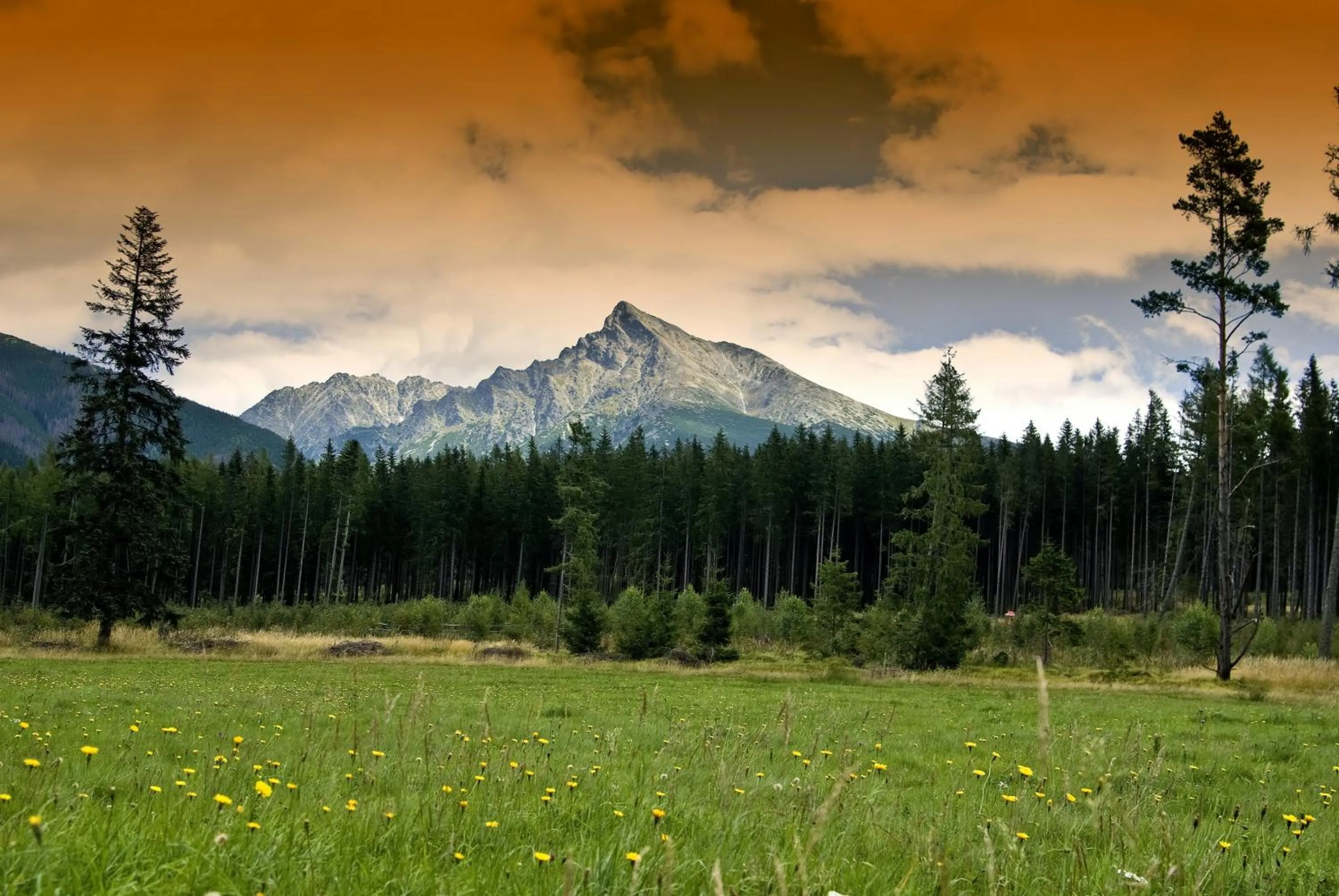 Area and facilities in Penzion Sileo