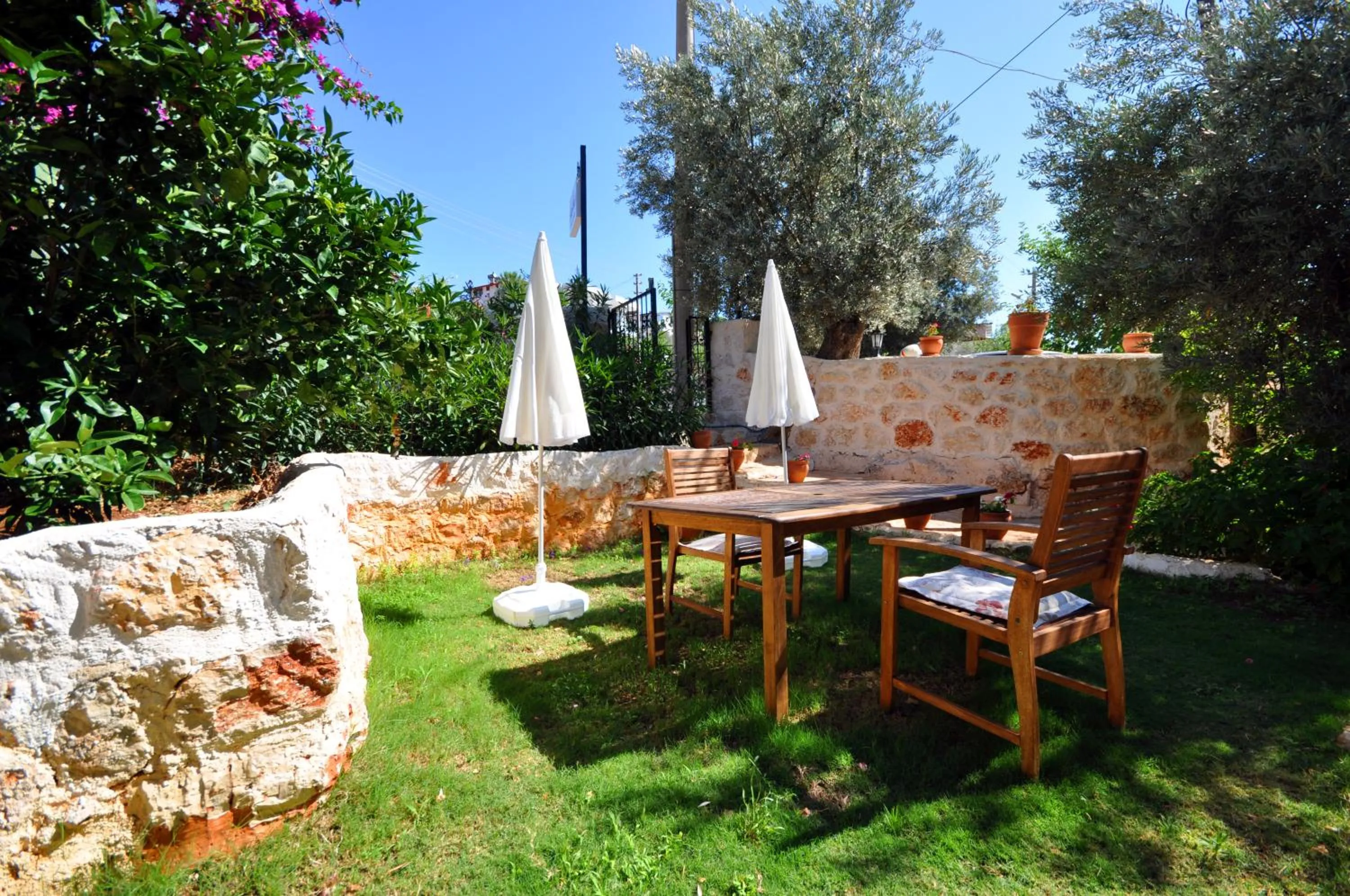 Garden in Kaktus Beach Apart