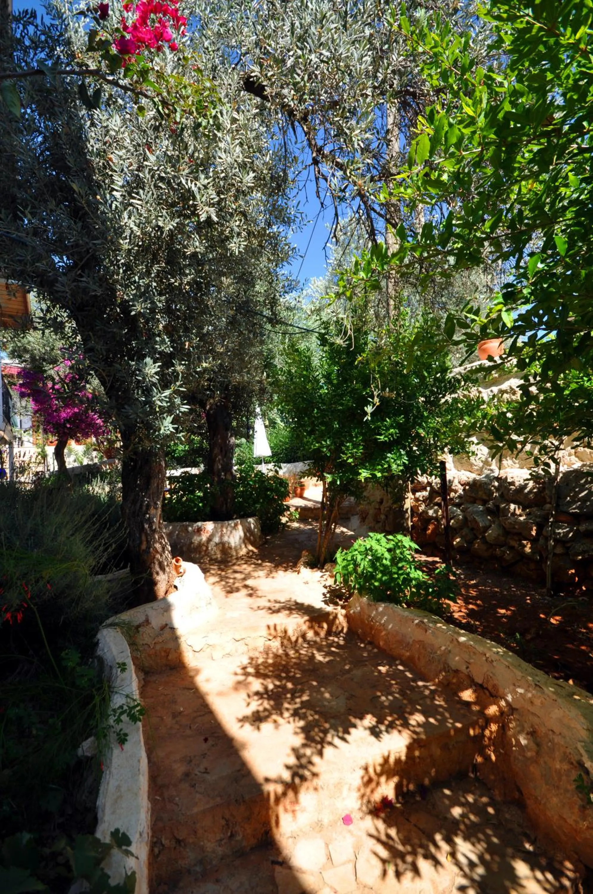 Garden in Kaktus Beach Apart