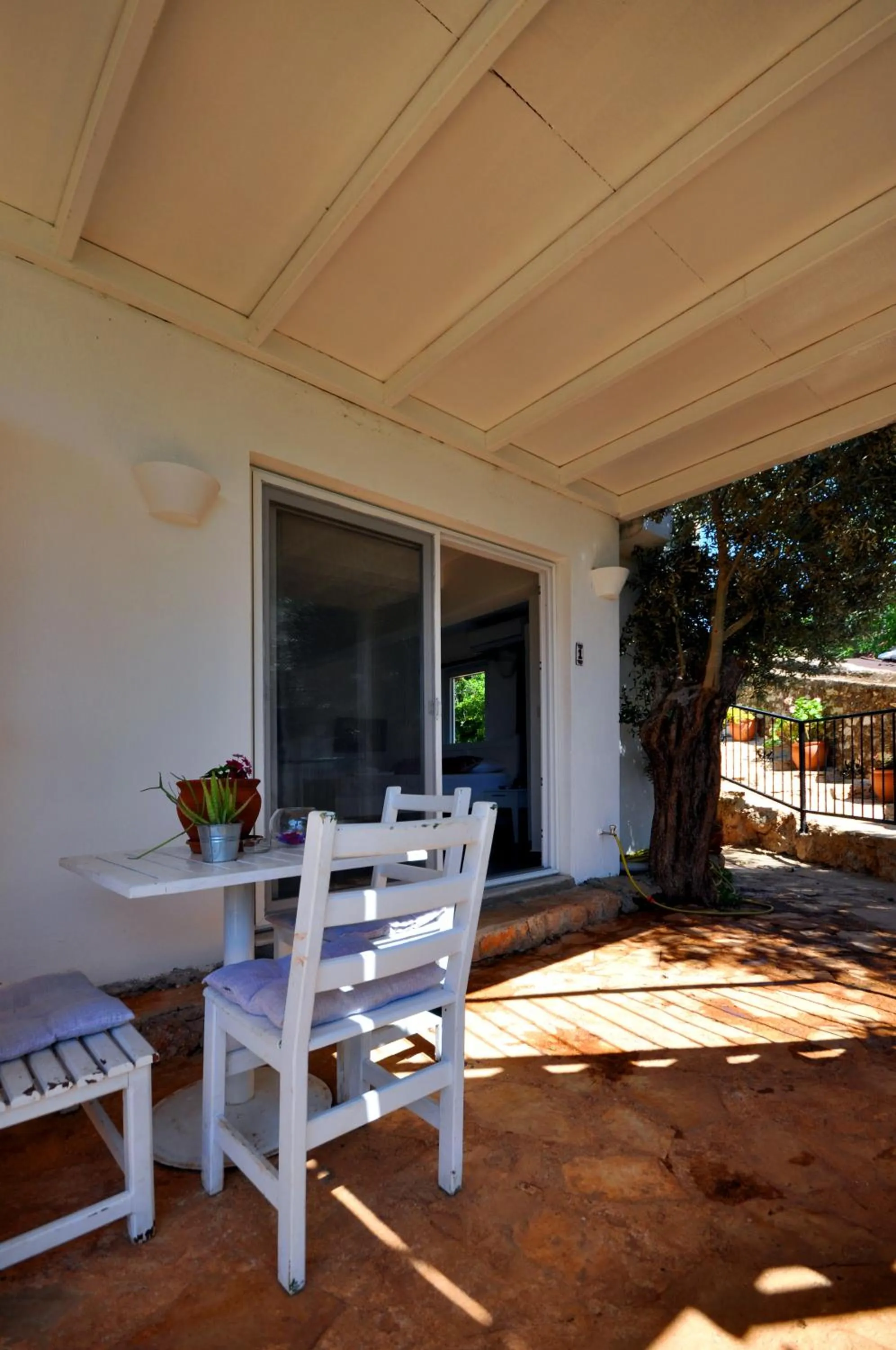 Garden in Kaktus Beach Apart