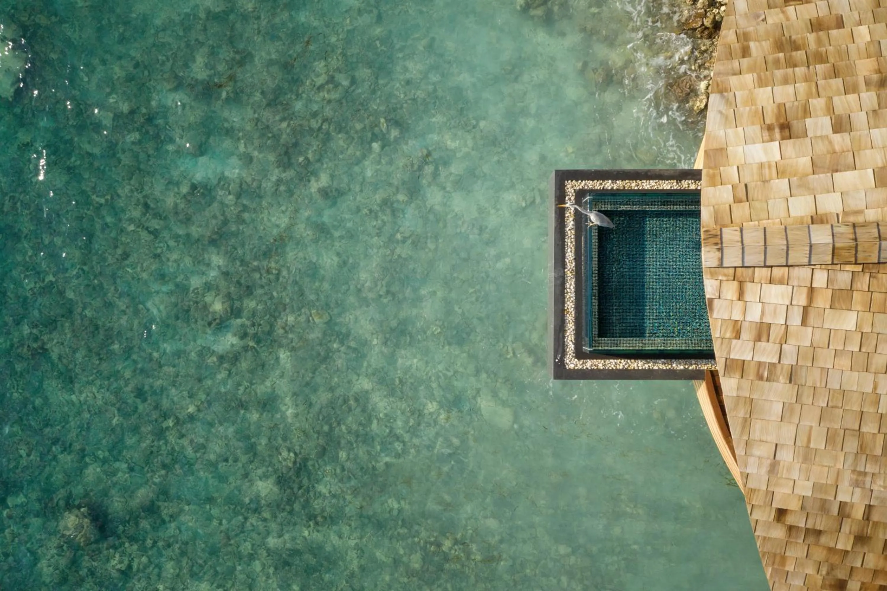 Spa and wellness centre/facilities in OUTRIGGER Maldives Maafushivaru Resort - 25 percent discount on transfers for min 4 nights stay and more, valid for reservations between 01 July till 22 Dec 2025