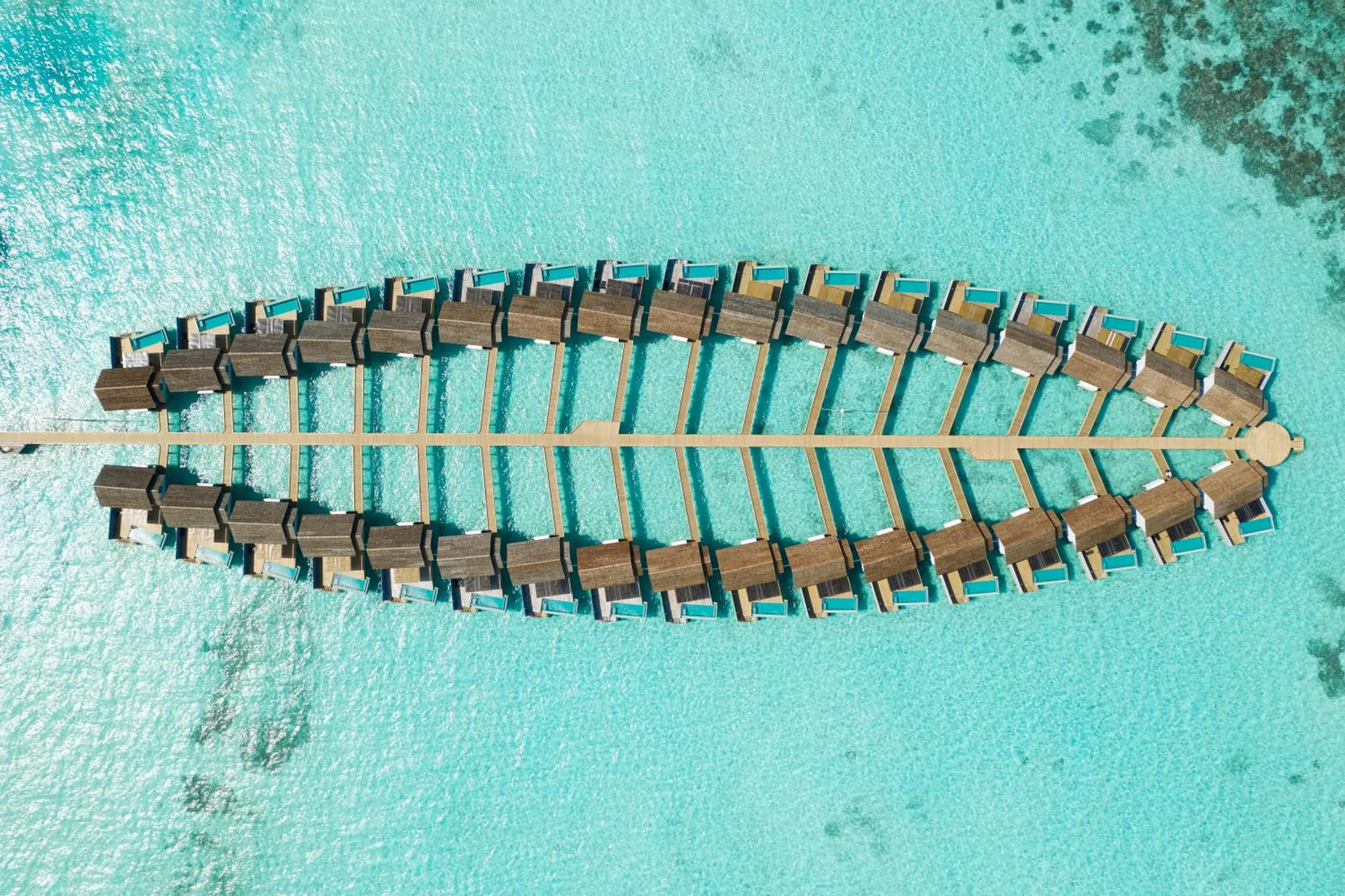 Pool view in OUTRIGGER Maldives Maafushivaru Resort - 25 percent discount on transfers for min 4 nights stay and more, valid for reservations between 01 July till 22 Dec 2025