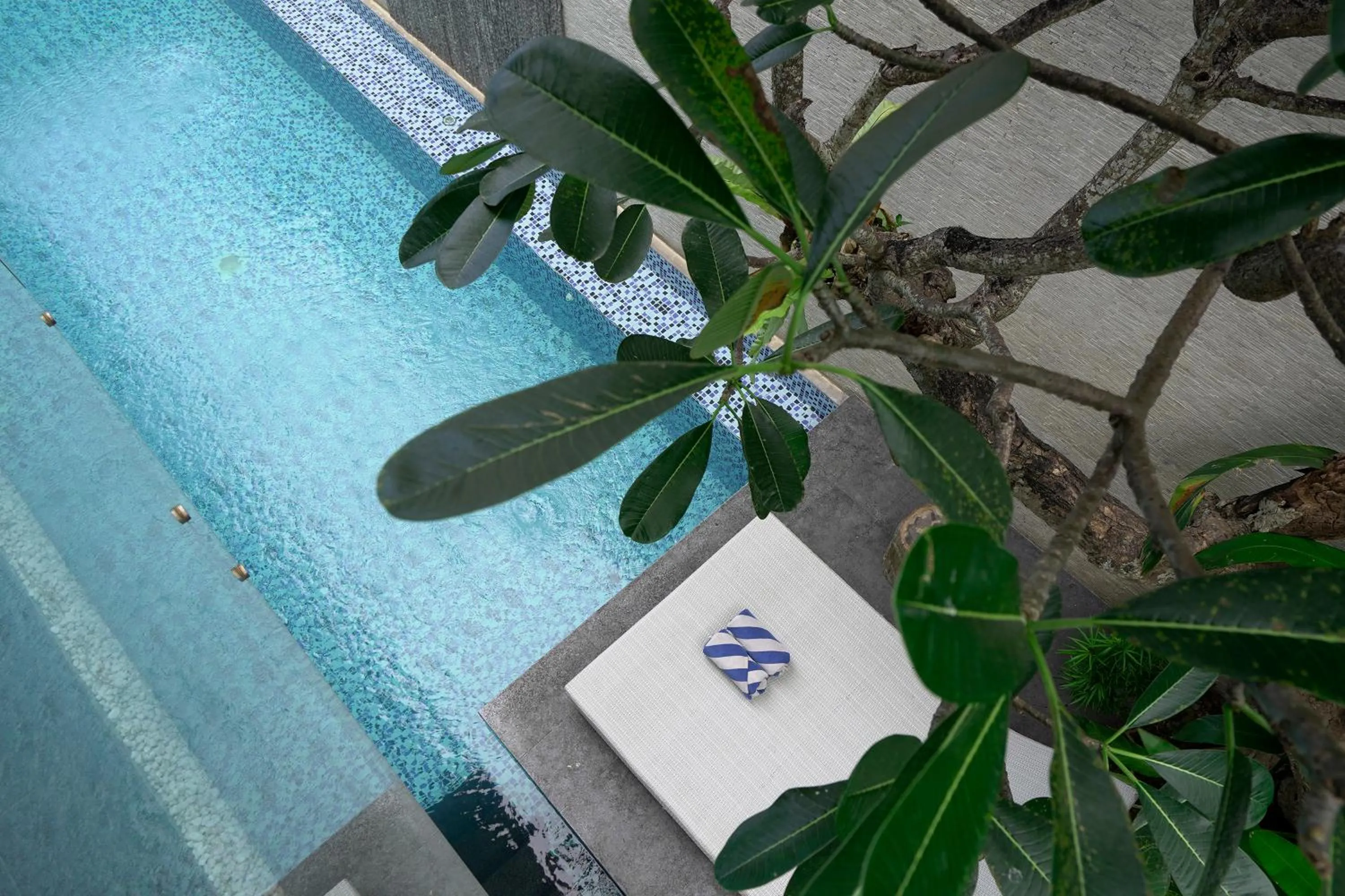 Pool view in Sandhya Villa Canggu Echo Beach