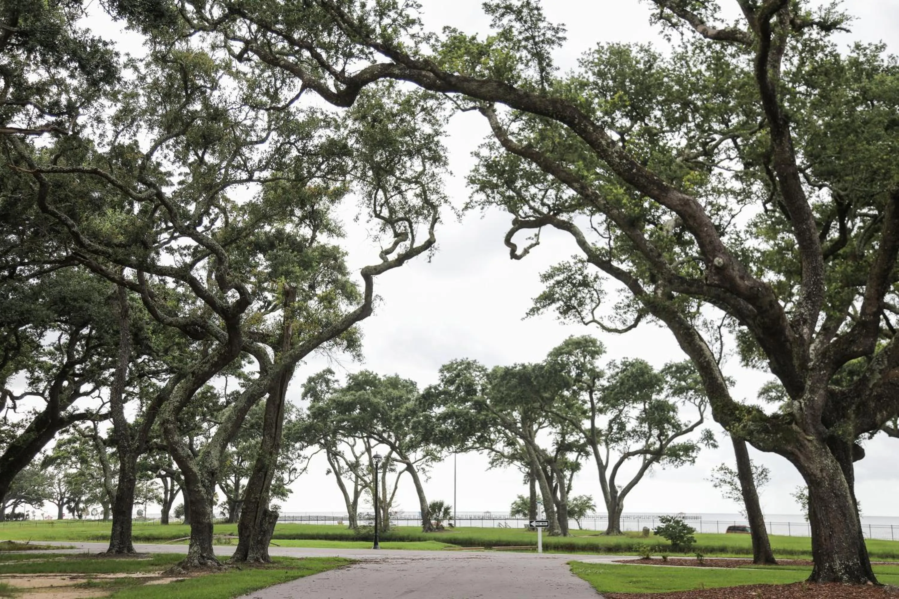 Natural landscape in Grand Centennial Gulfport