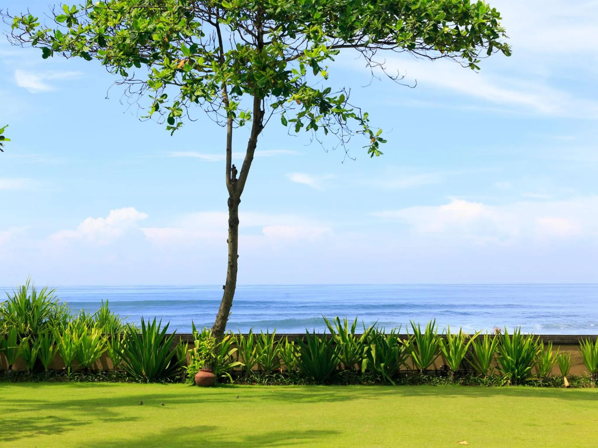 Garden view in Villa Maridadi by Elite Havens