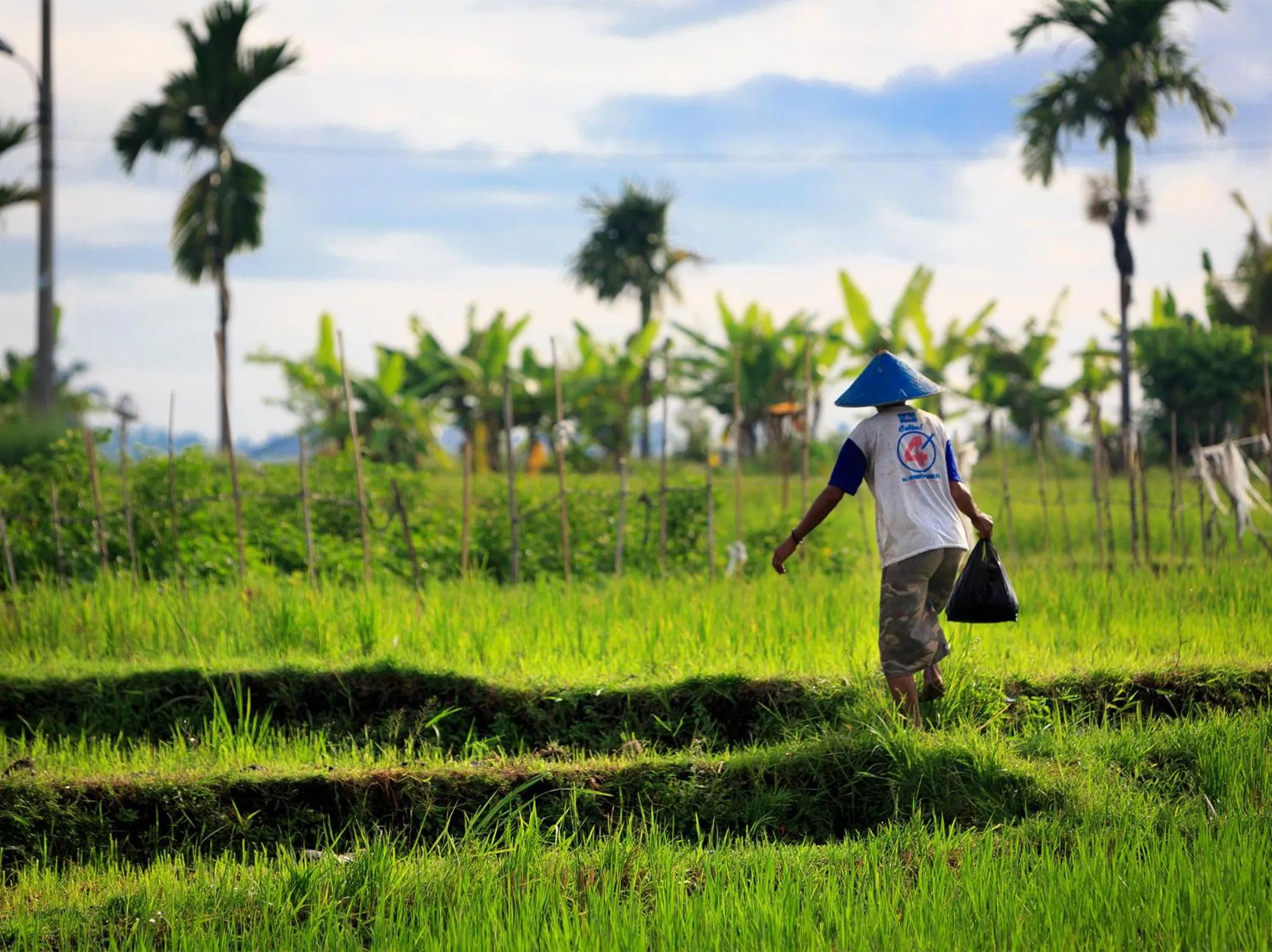 Natural landscape in Villa Maridadi by Elite Havens