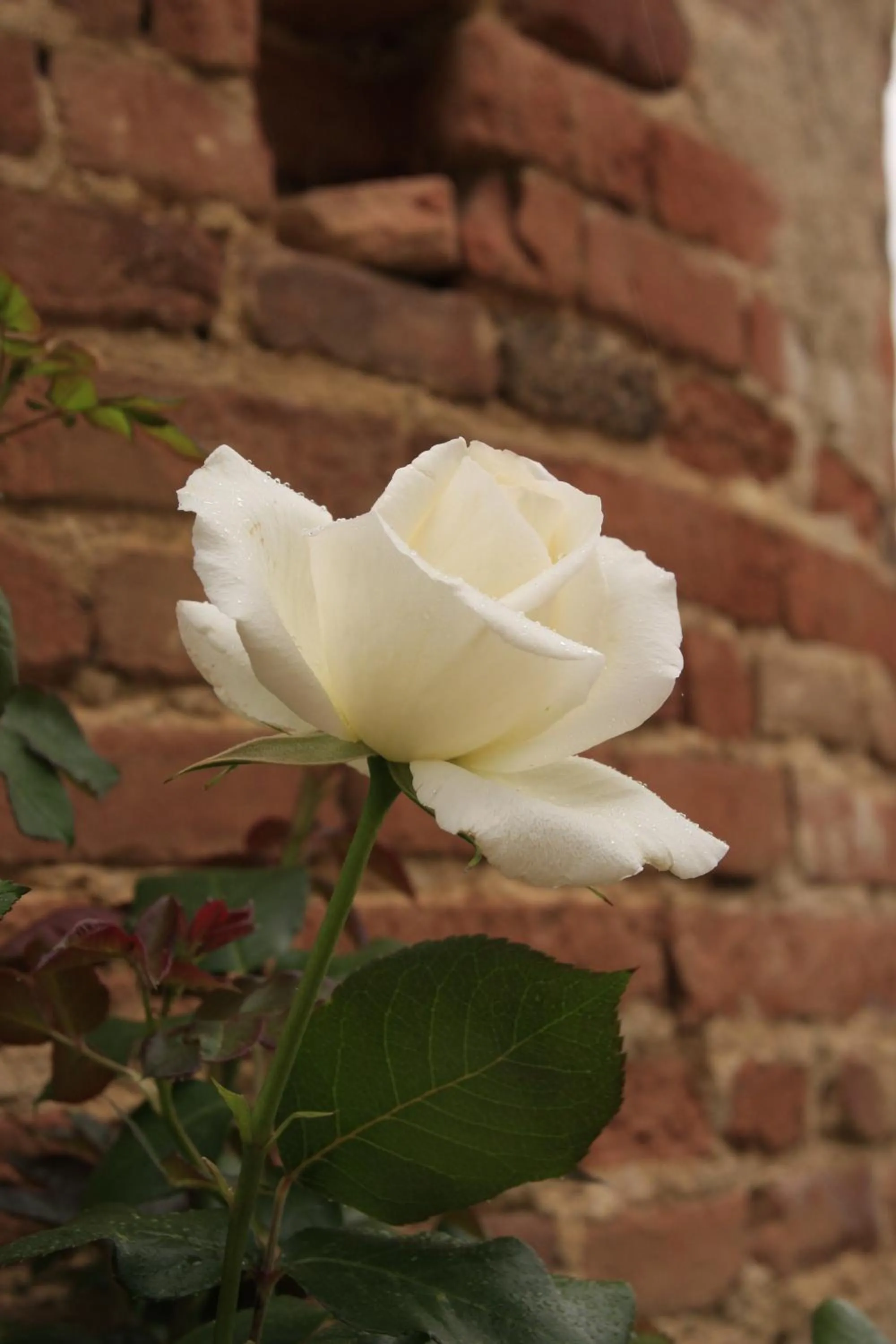 Other in Domaine de Belcayre