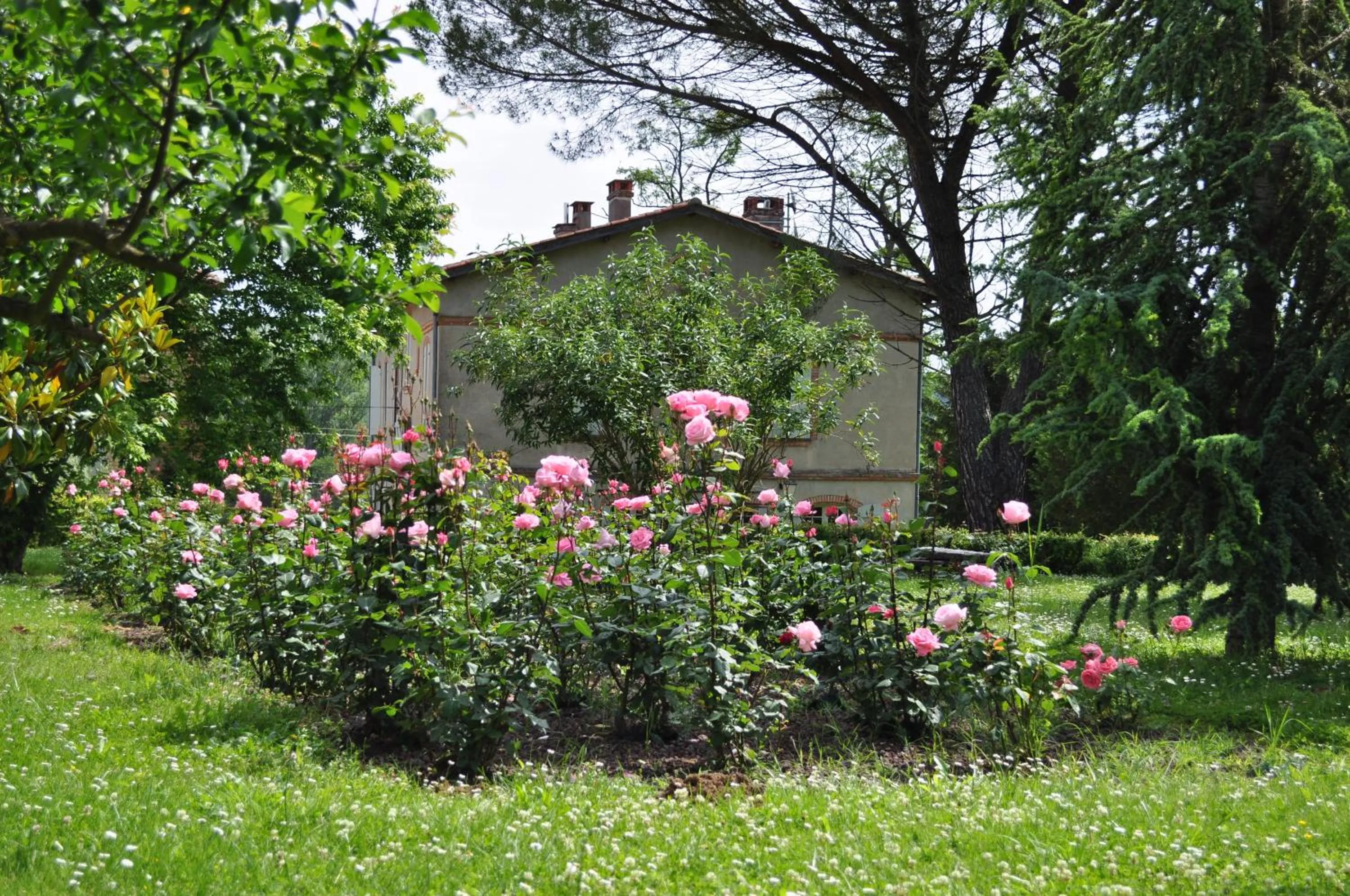 Garden in Domaine de Belcayre