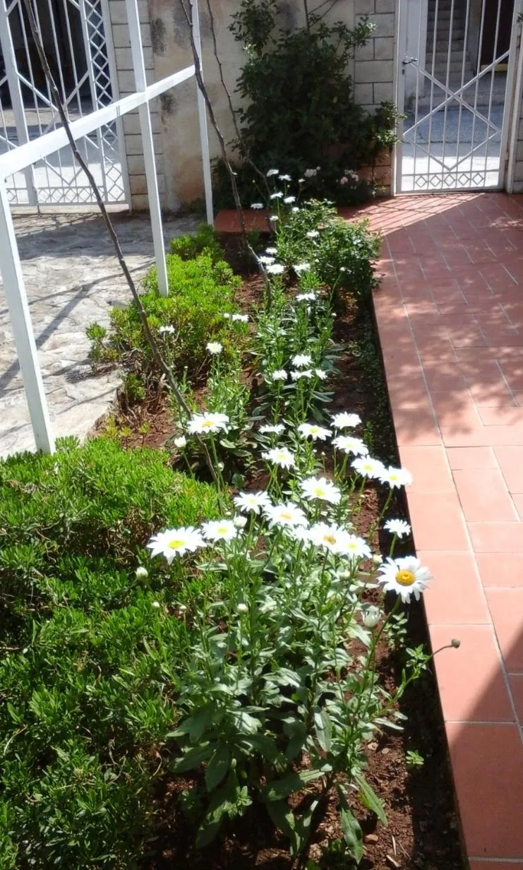 Garden view in Villa Donadini