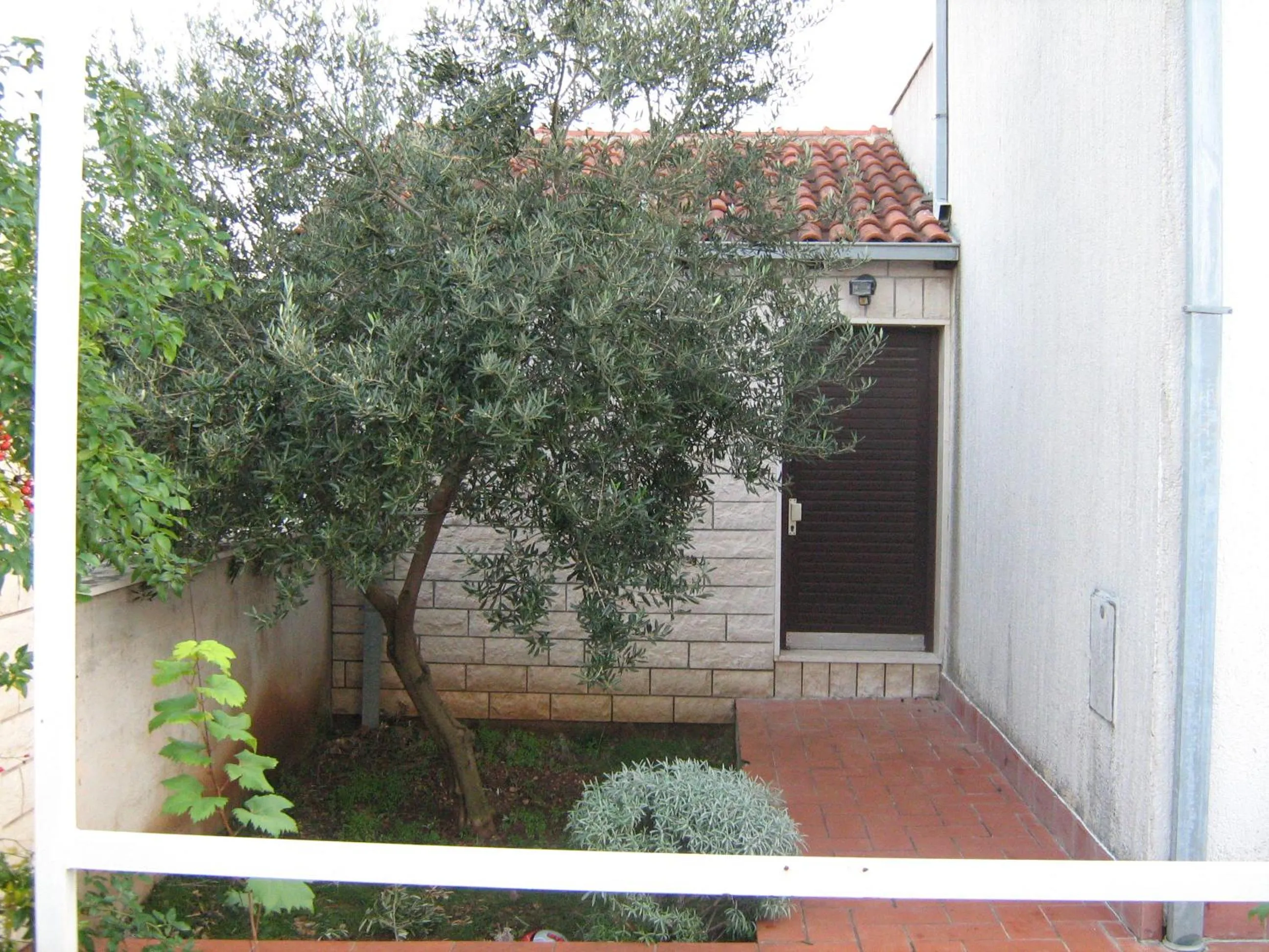 Property building in Villa Donadini