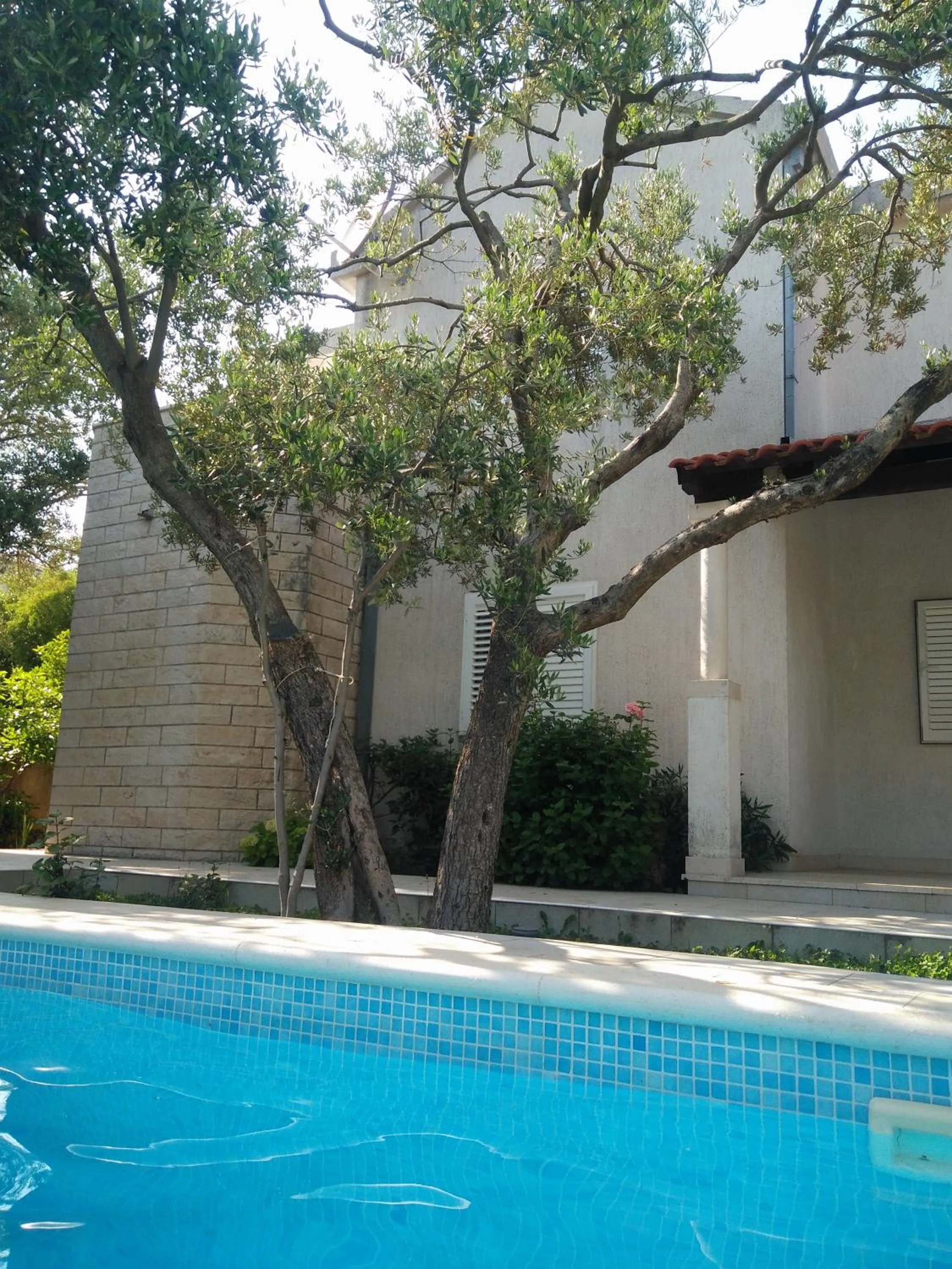 Swimming pool in Villa Donadini
