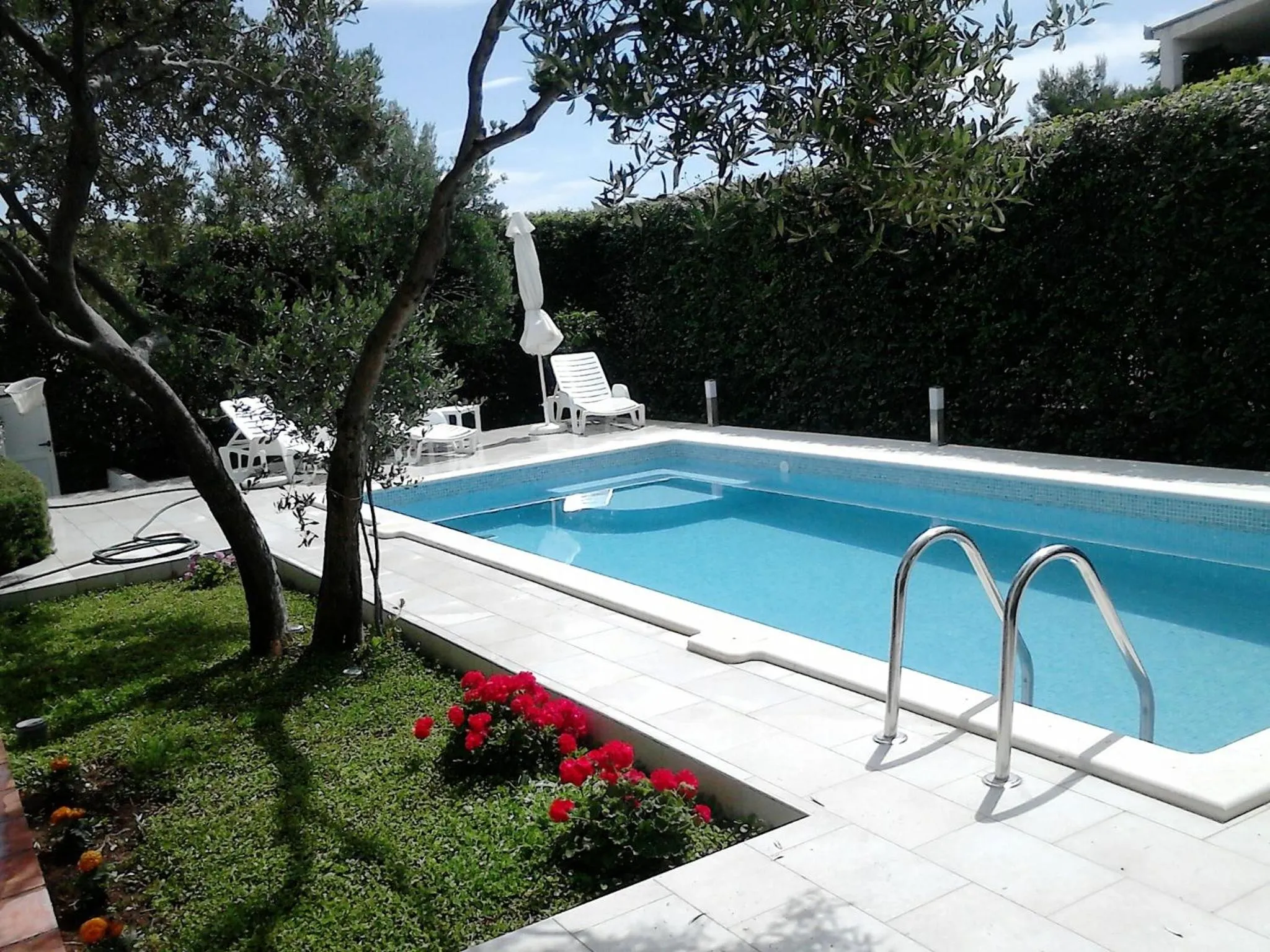 Swimming pool in Villa Donadini