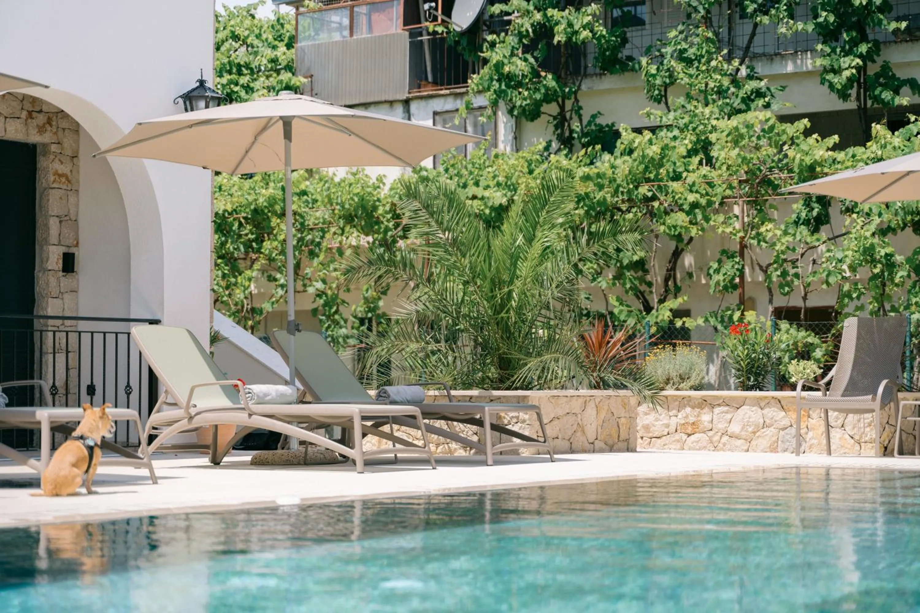 Pool view in B&B Lovac