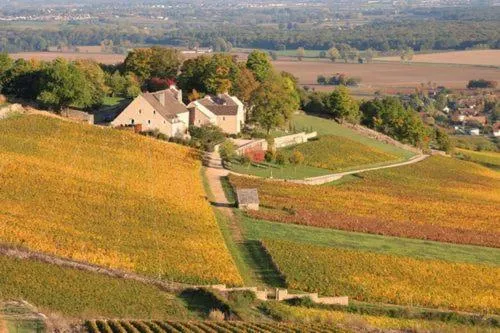 Nearby landmark in Saint Georges Hotel & Spa