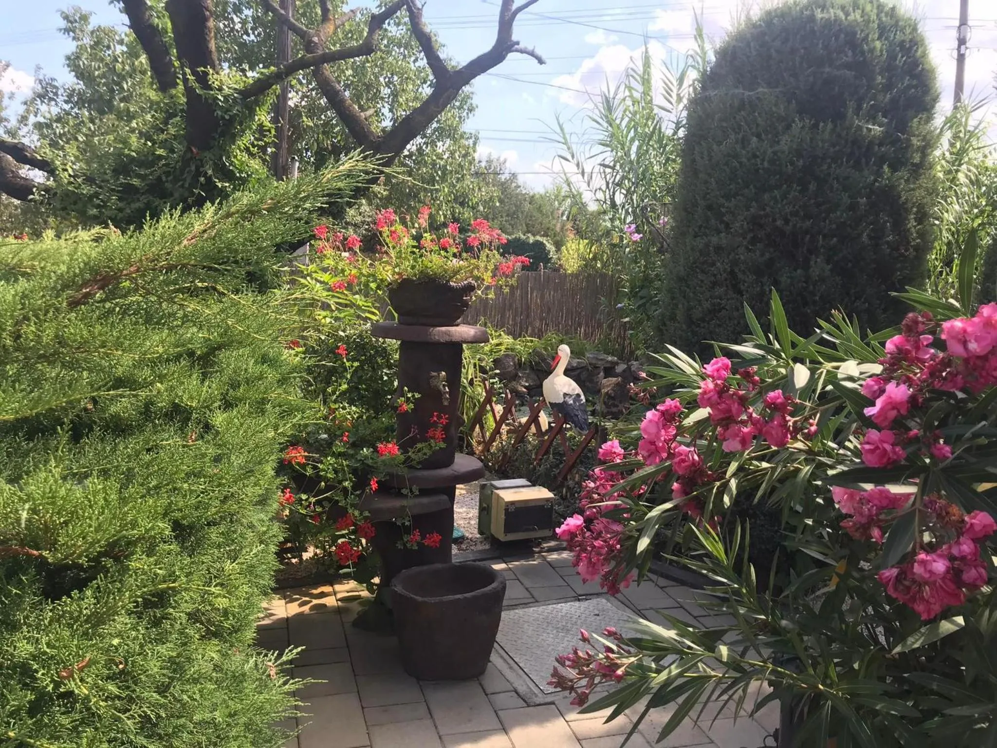 Garden in Katalin Motel & Étterem