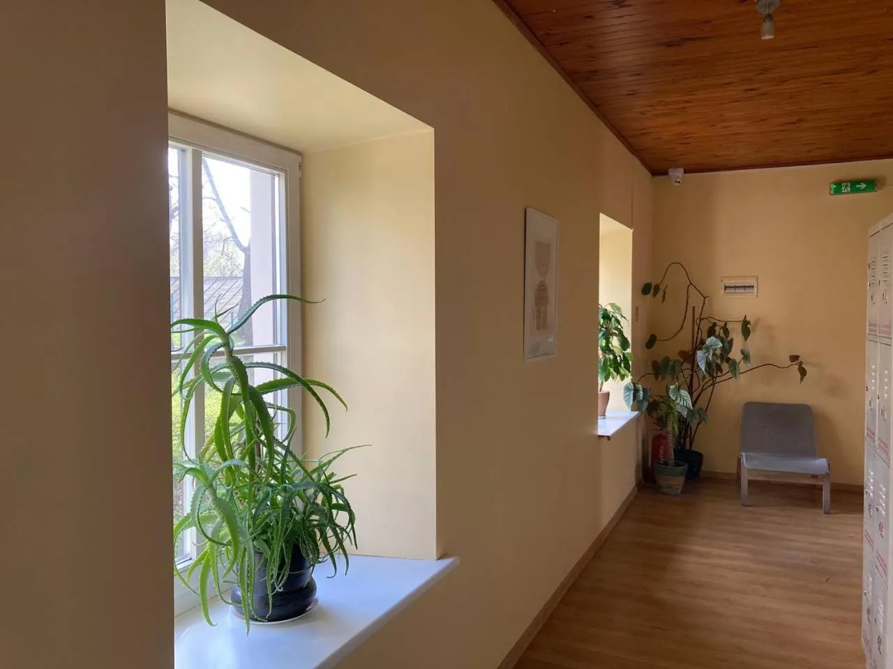 Lobby or reception in Hostel Filaretai