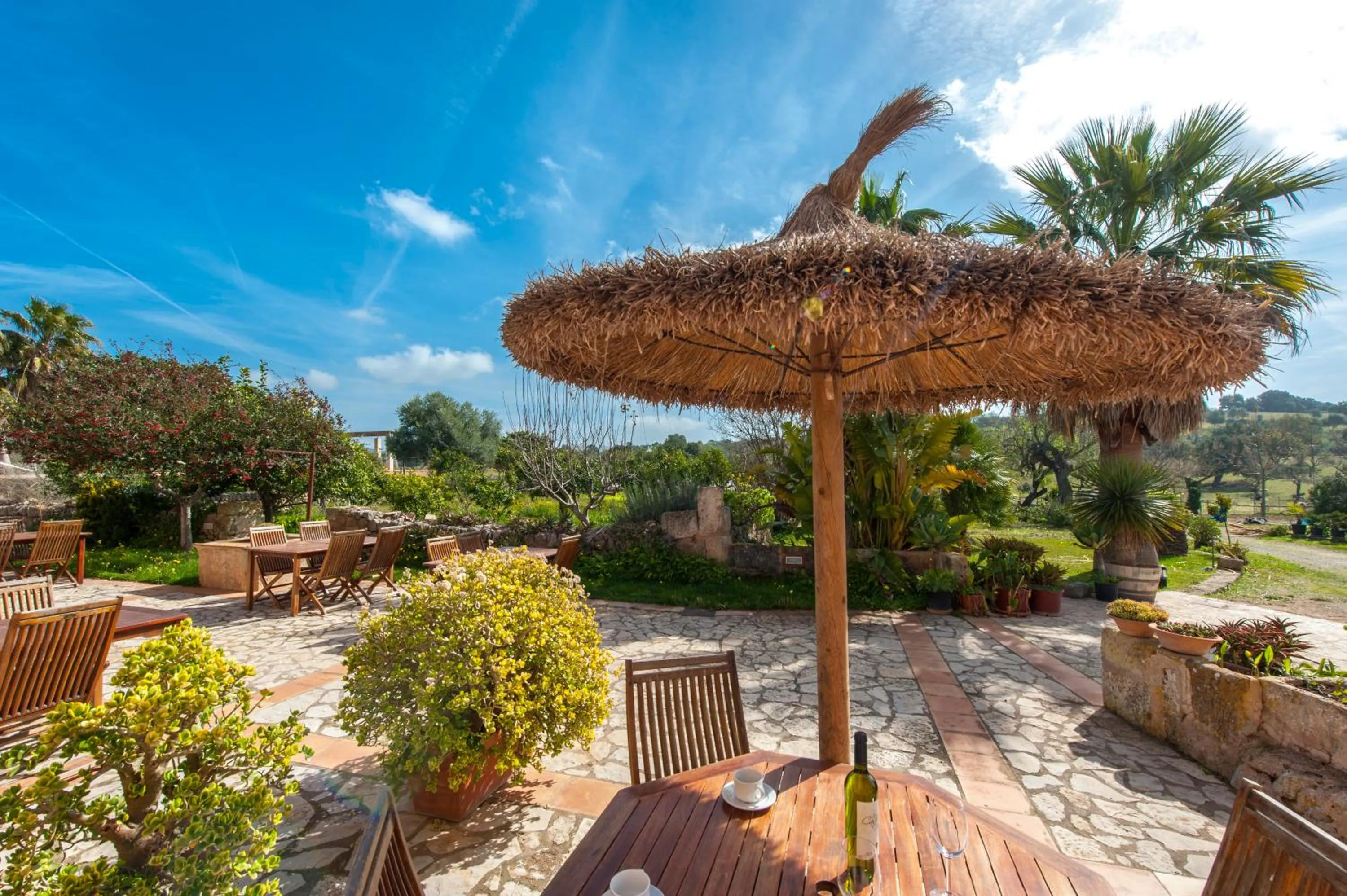 Garden view in Finca Hotel Ses Cases Noves