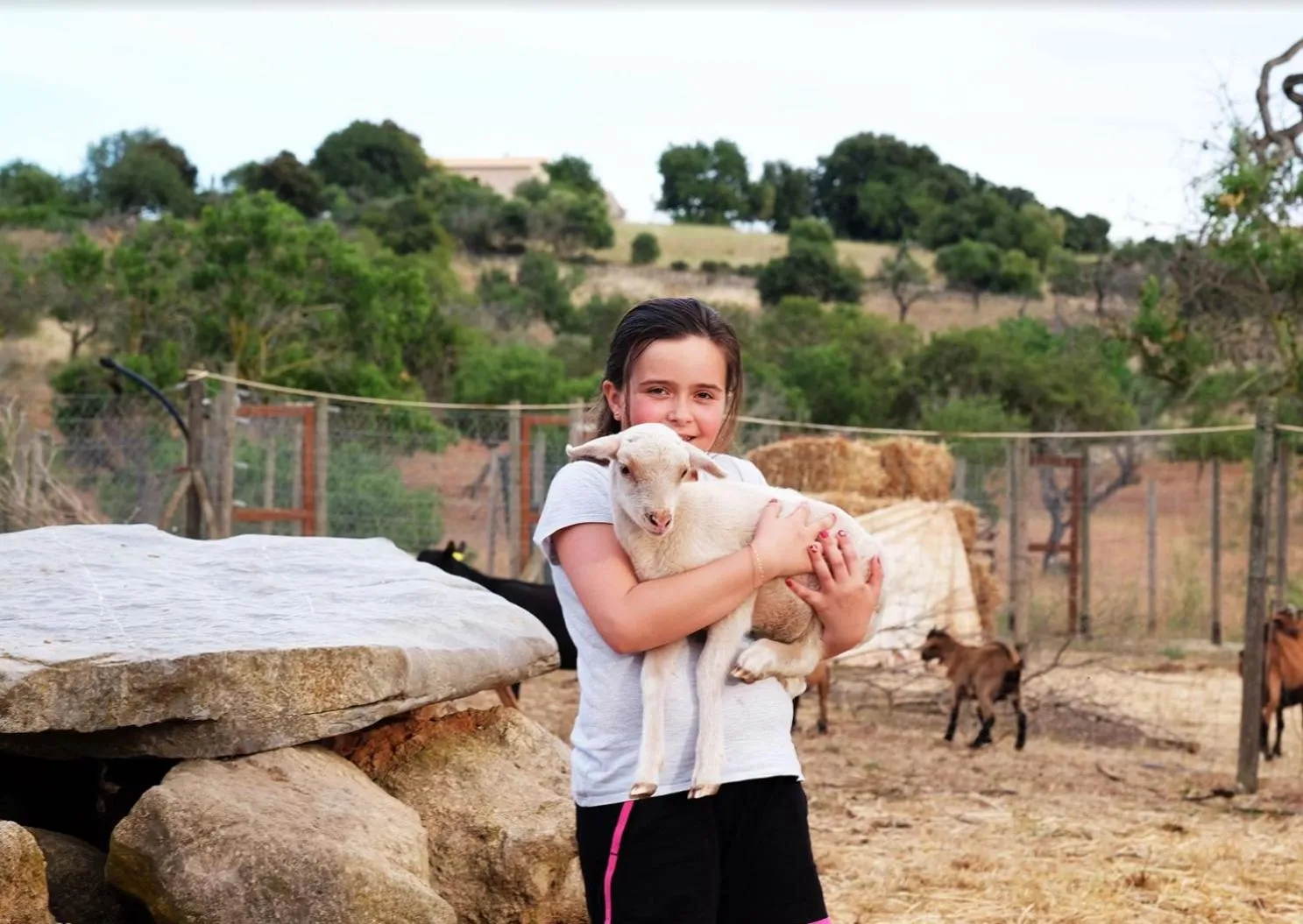 Finca Hotel Ses Cases Noves