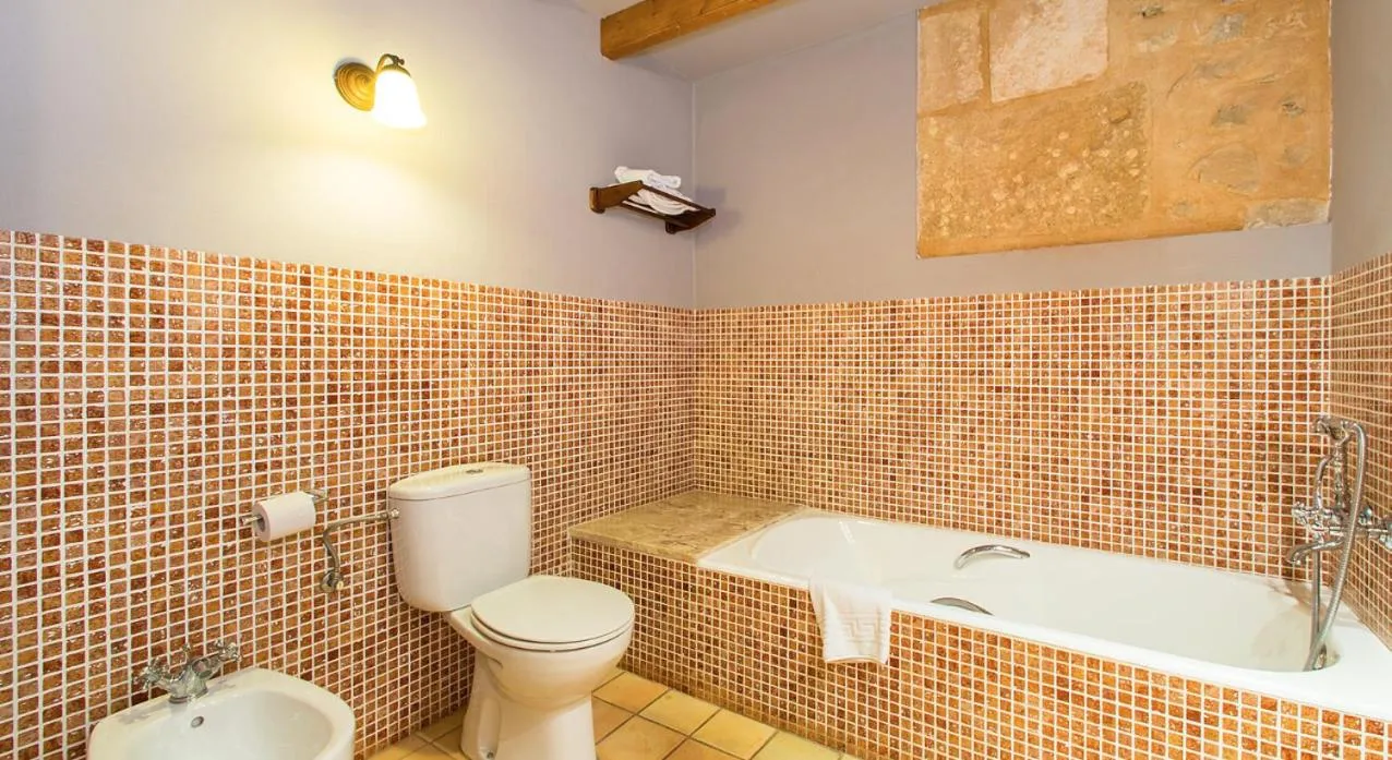 Finca Hotel Ses Cases Noves