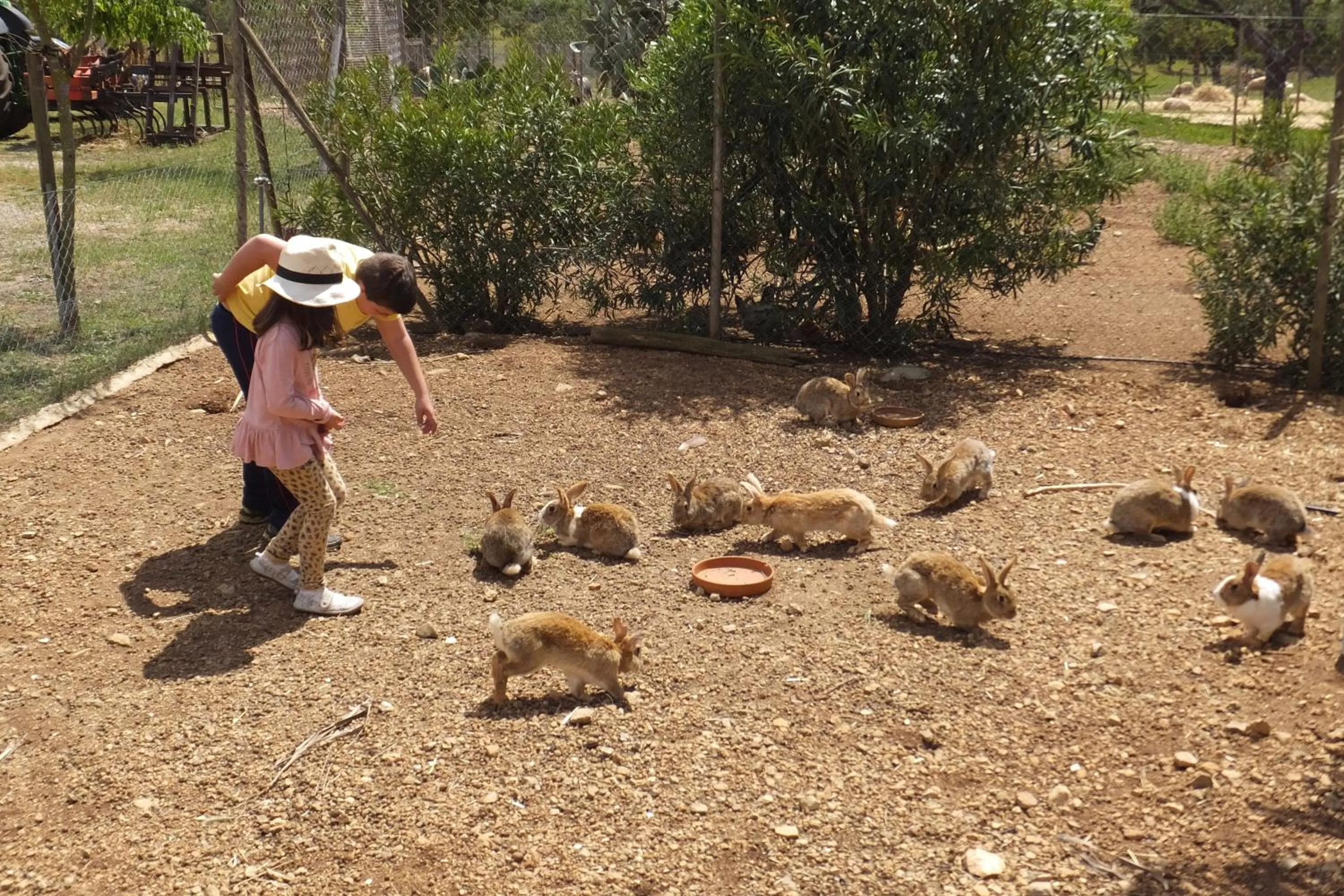 Activities in Finca Hotel Ses Cases Noves