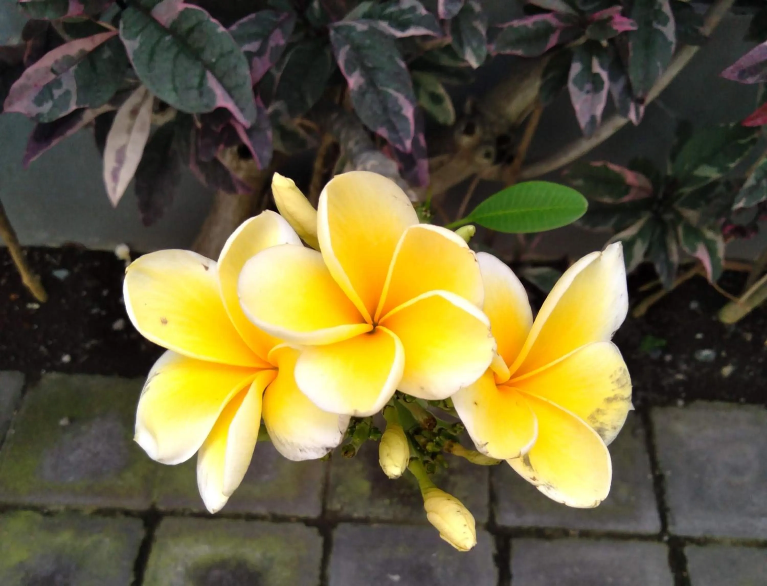 Property building in ALA Hostel