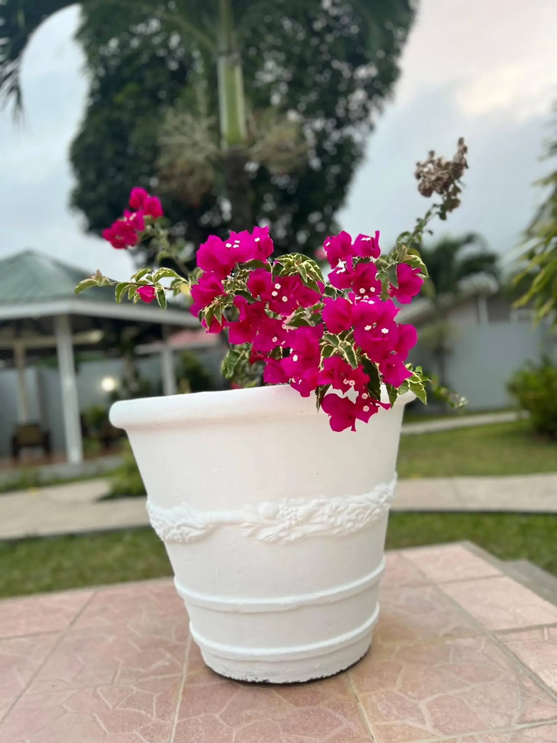 Decorative detail in Hotel La Roussette Decorative detail in Hotel La Roussette