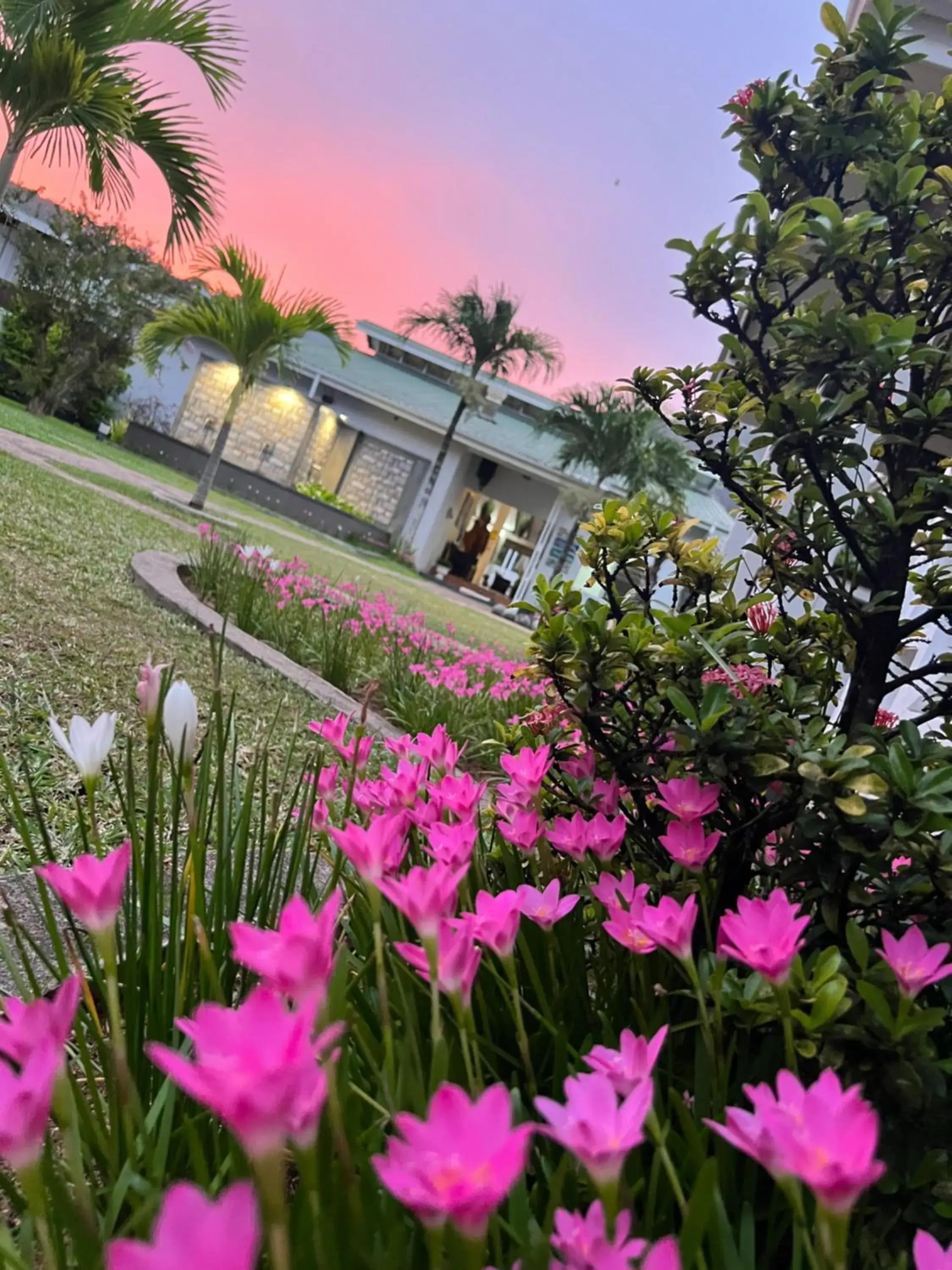 Garden view in Hotel La Roussette Garden view in Hotel La Roussette