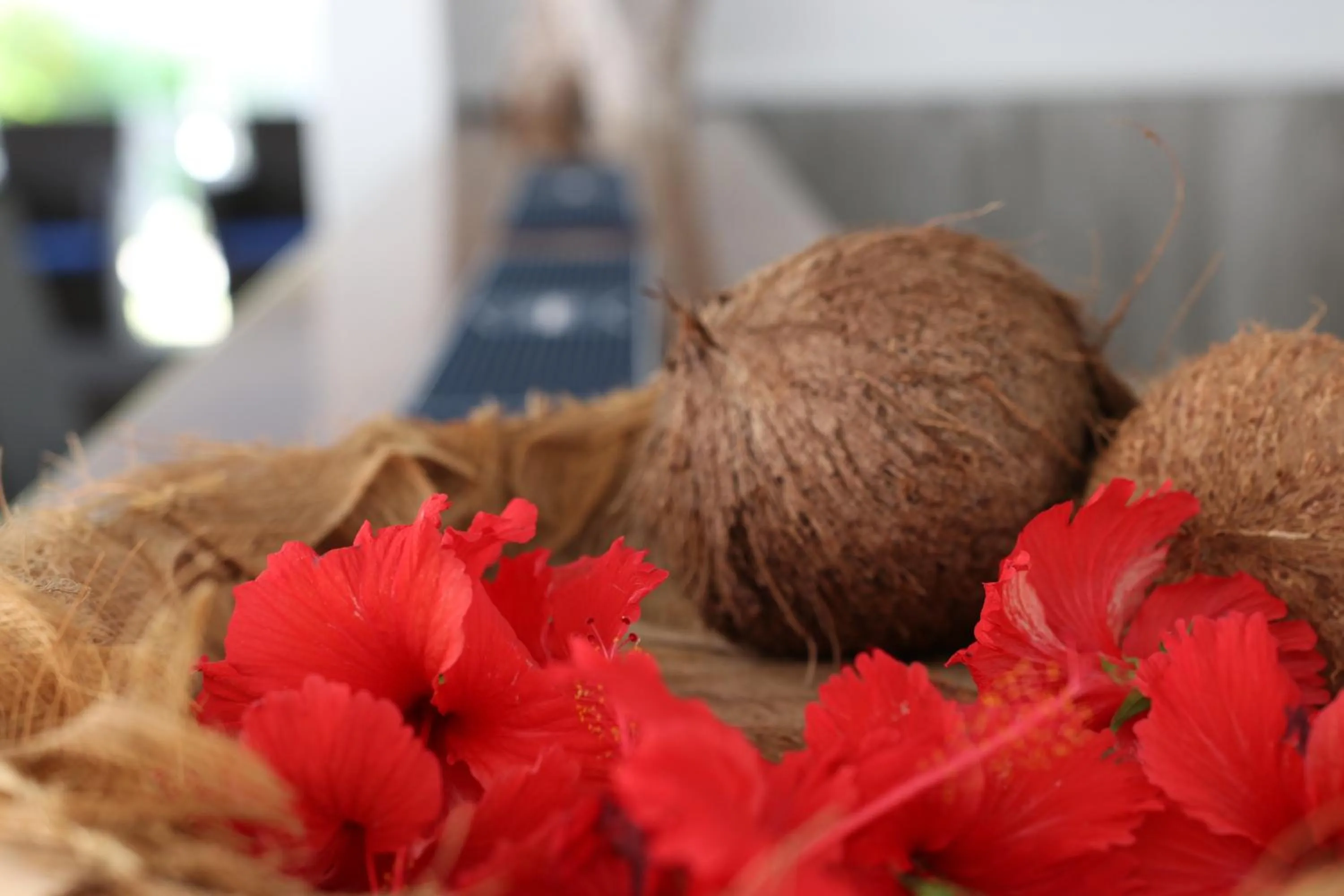 Decorative detail in Hotel La Roussette