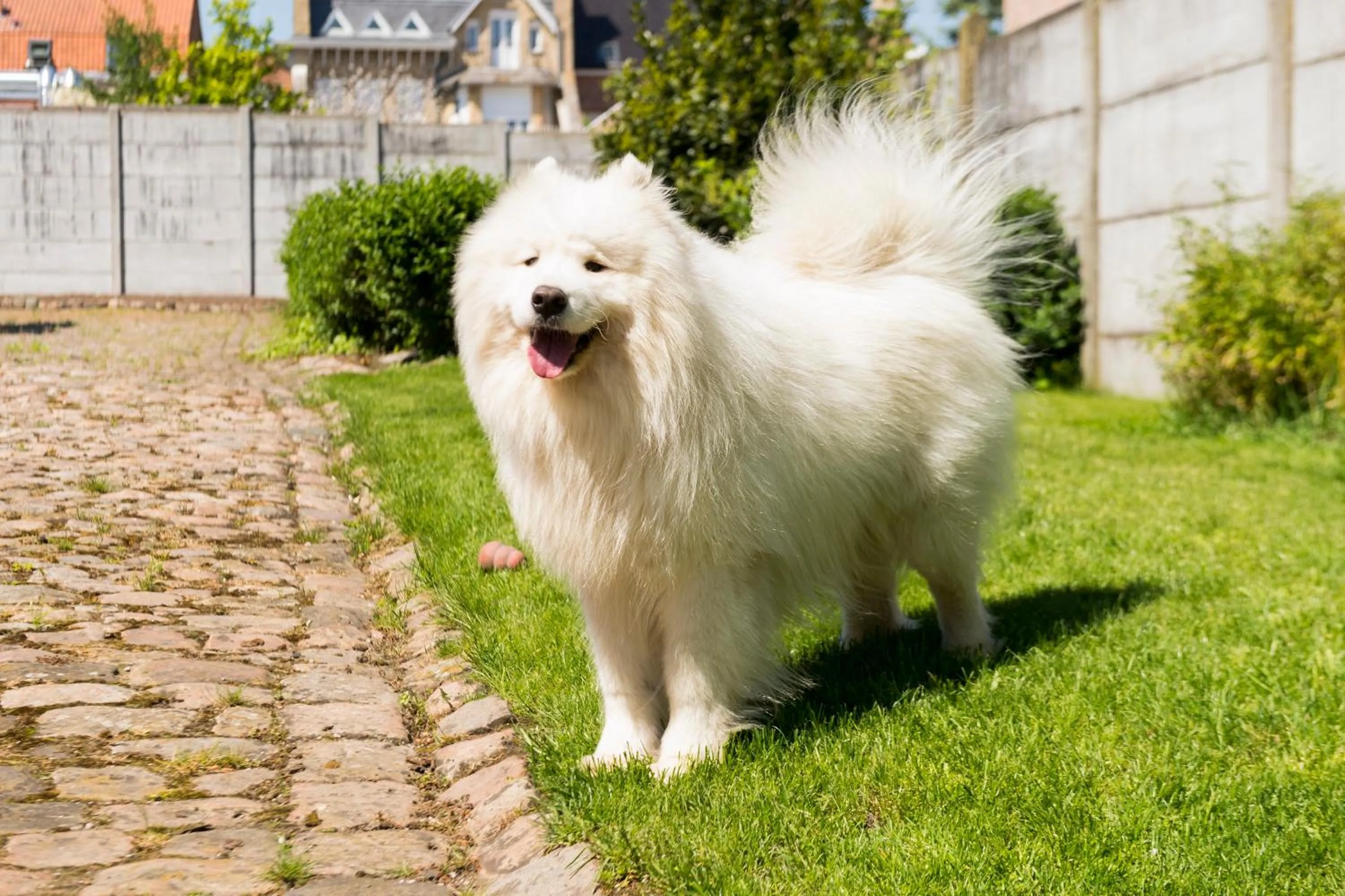 LOGIS - Belle Hôtel, Lille-Ouest