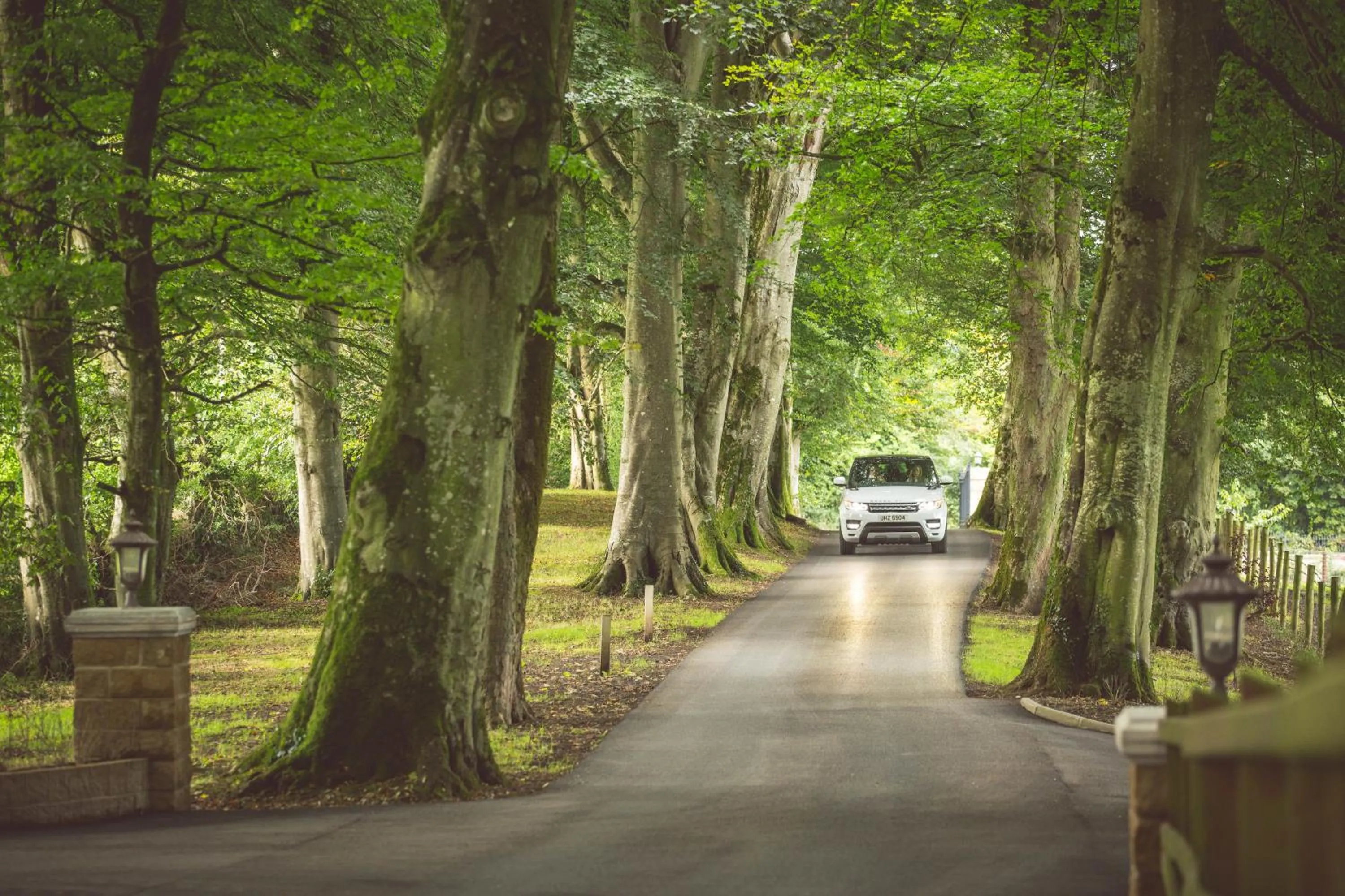 Natural landscape in Corick House Hotel & Spa