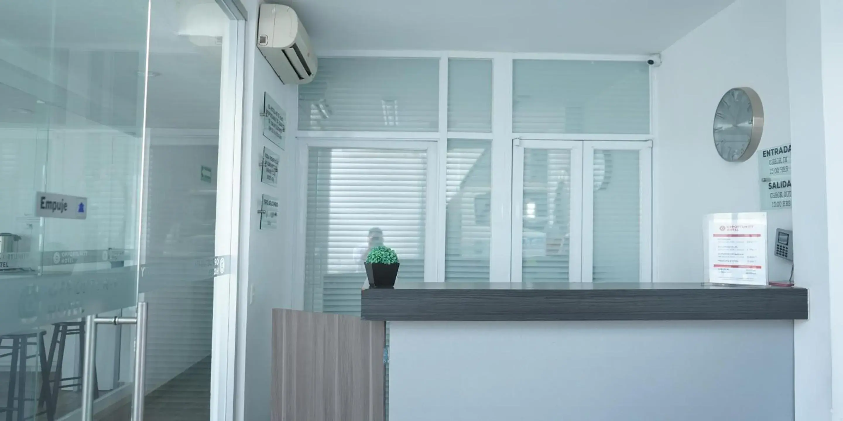 Lobby or reception in Opportunity León Lobby or reception in Opportunity León