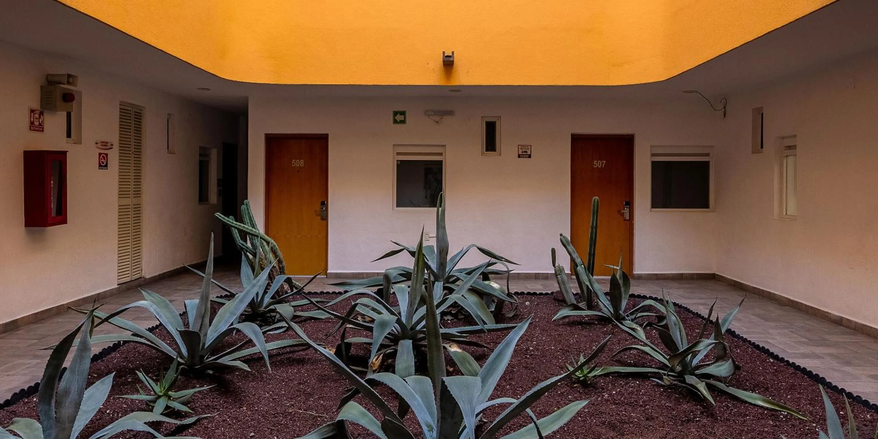 Garden view in Opportunity León