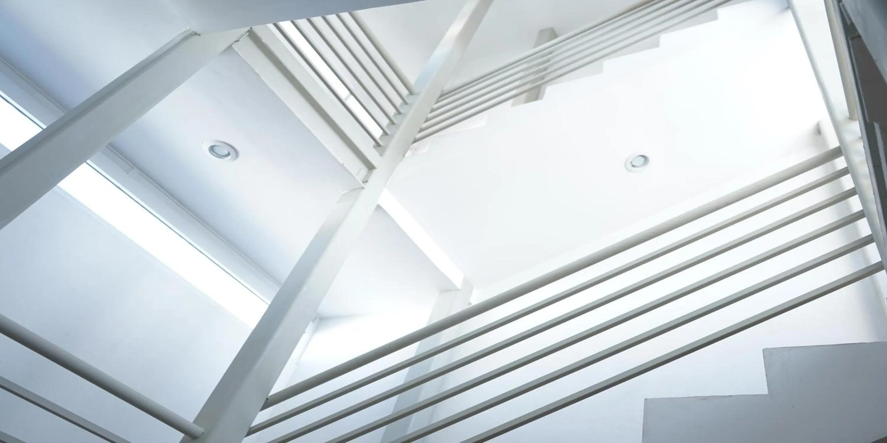 Area and facilities in Opportunity León