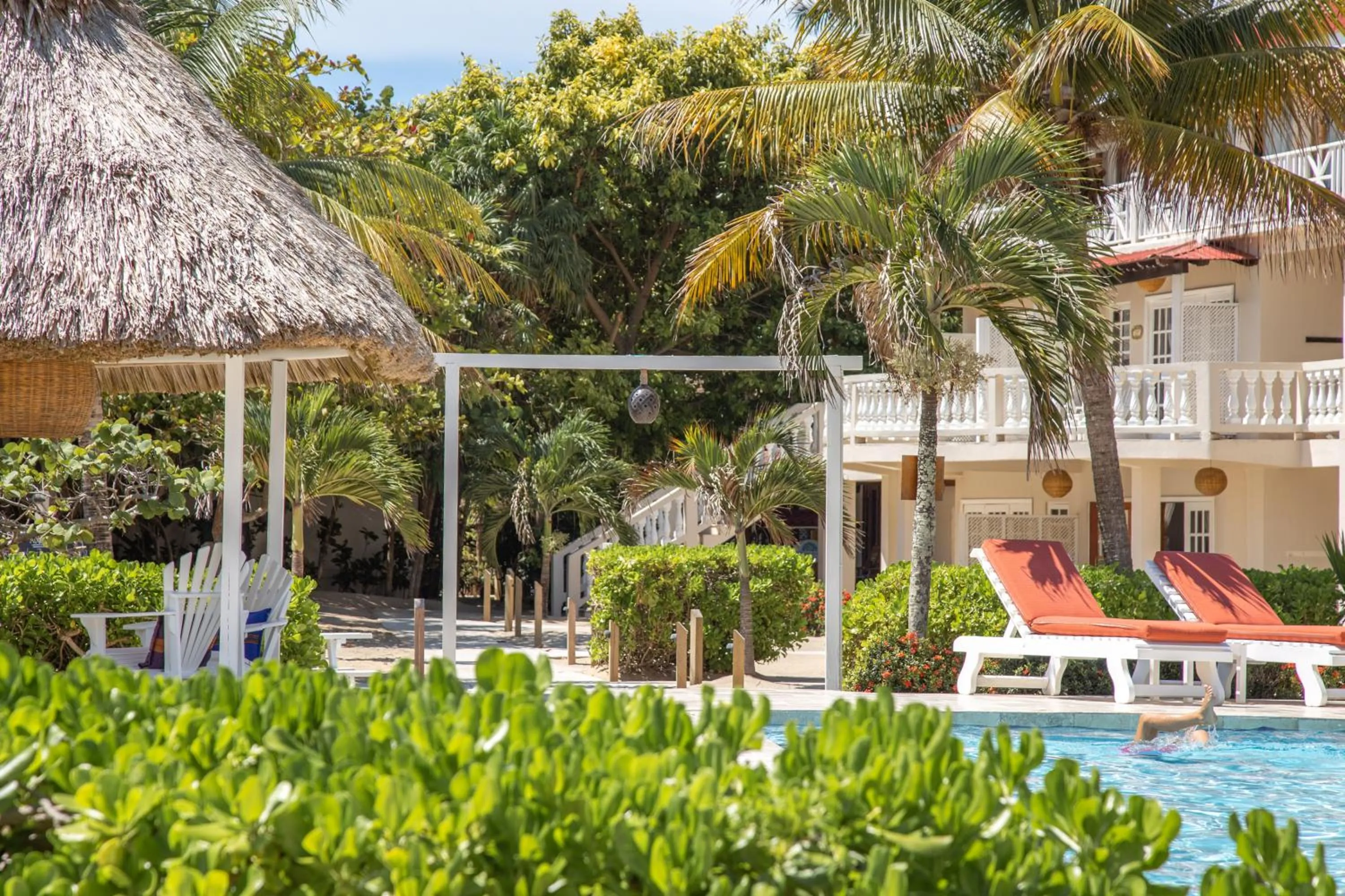 Garden view in Almond Beach Resort at Jaguar Reef