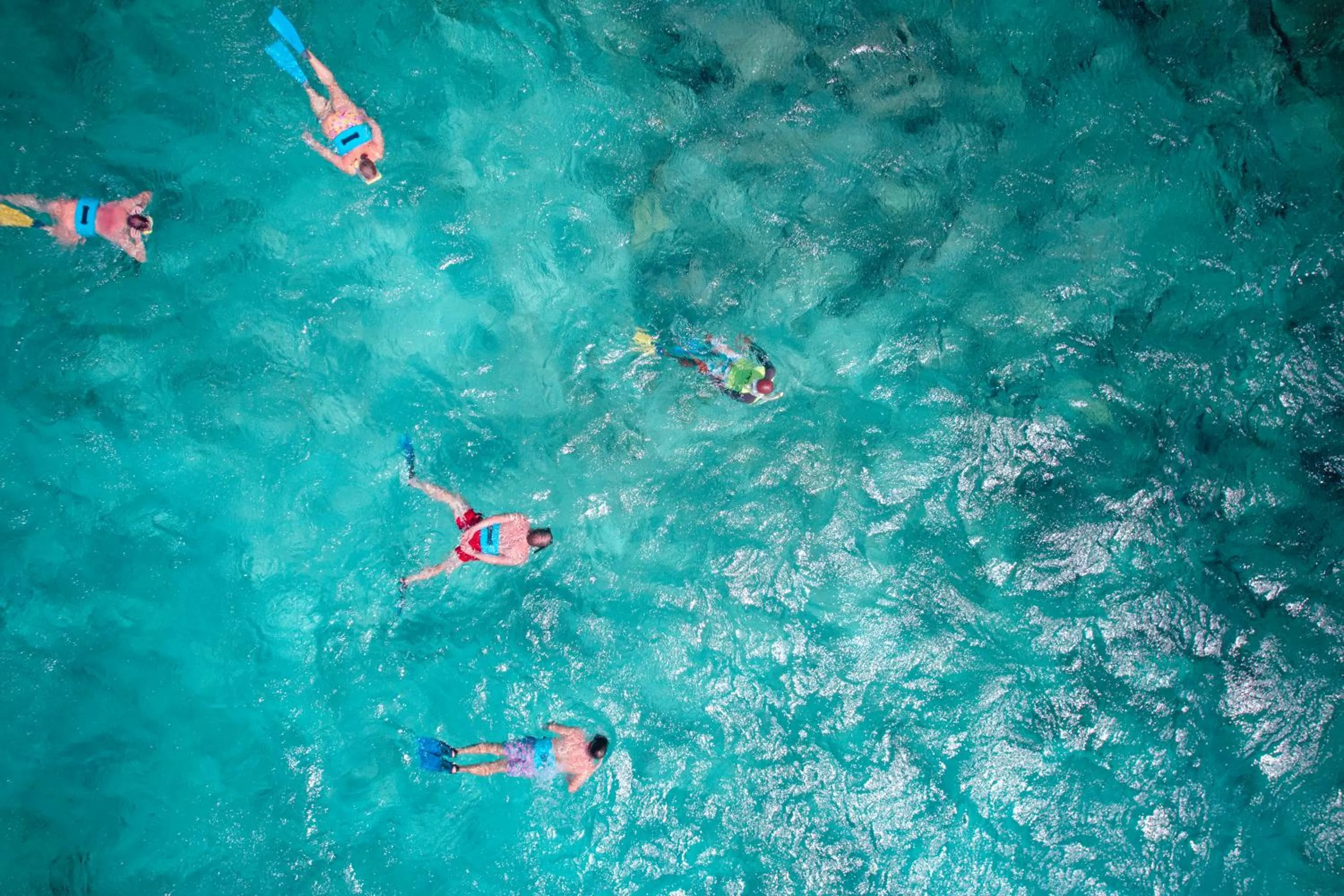 Snorkeling in South Coast Horizon